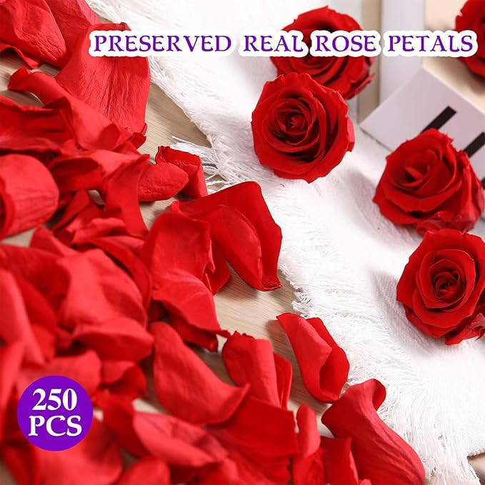 Dried Real Rose Petals, Preserved Flower Petals Confetti for Wedding, Romantic Night for Her Set, Engagement, Bridal Shower, Valentine's Day, Flower Girl Party Dinner Table Decor (3oz, Red)