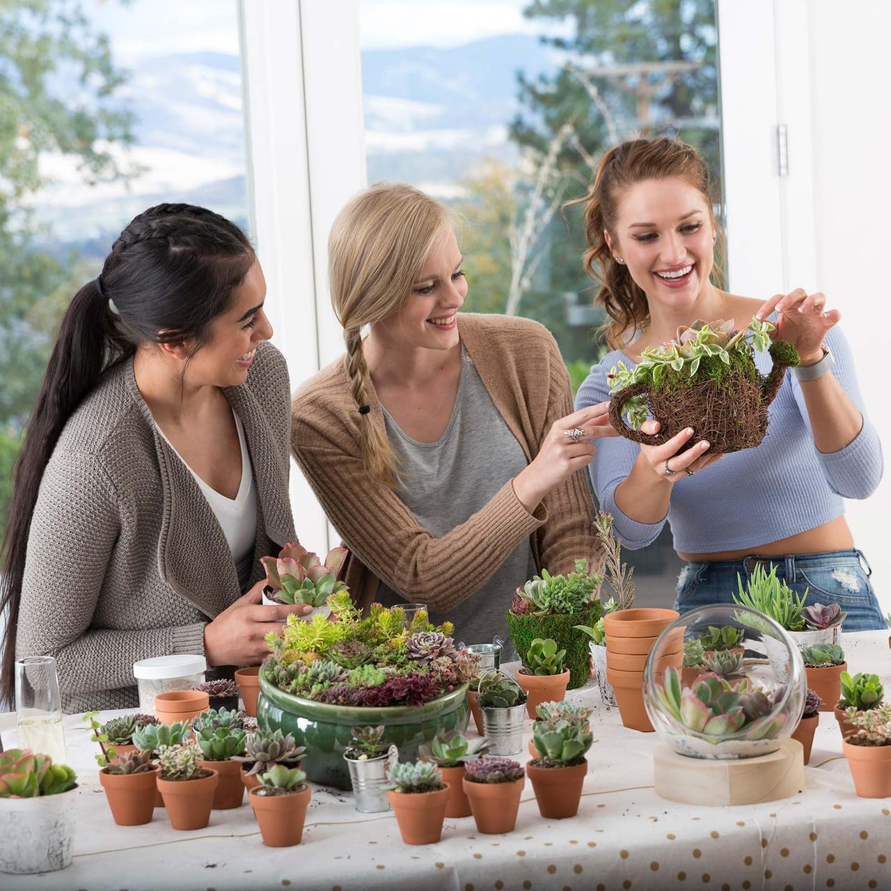 Mountain Crest Gardens Echeveria Succulent Bulk Pack - 25 Live Rosette Plants, 5 Each of 5 Varieties, Rooted in 2 Inch Pots - Succulents for Arrangements, Decor & DIY Projects