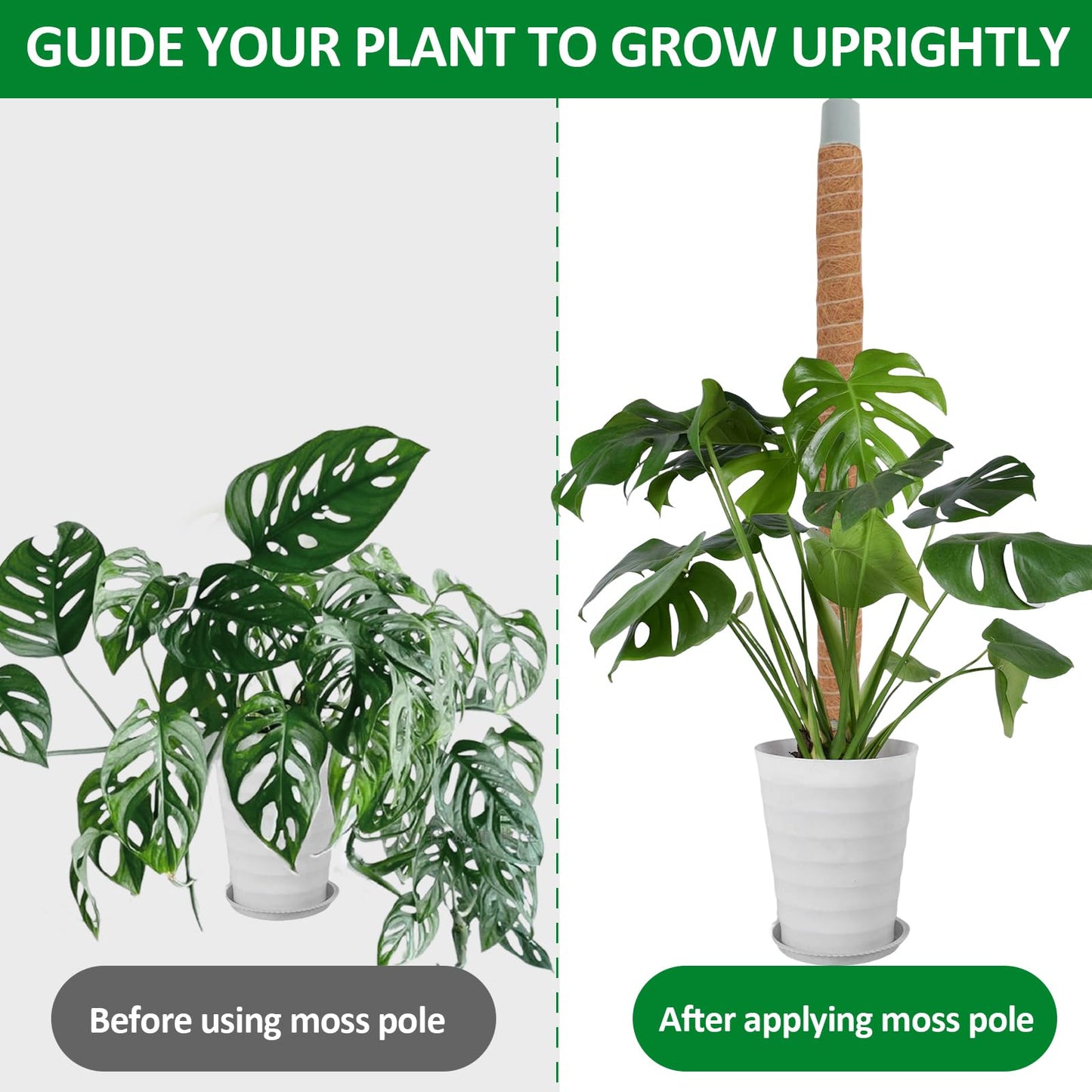 LOLEDE 4 Pack Moss Pole, 27.5 Inches Bendable Coco Coir Poles Monstera Plant Support for Climbing Indoor Plants, DIY Plant Stakes Kit Support for Pothos, Philodendron,Potted Plants