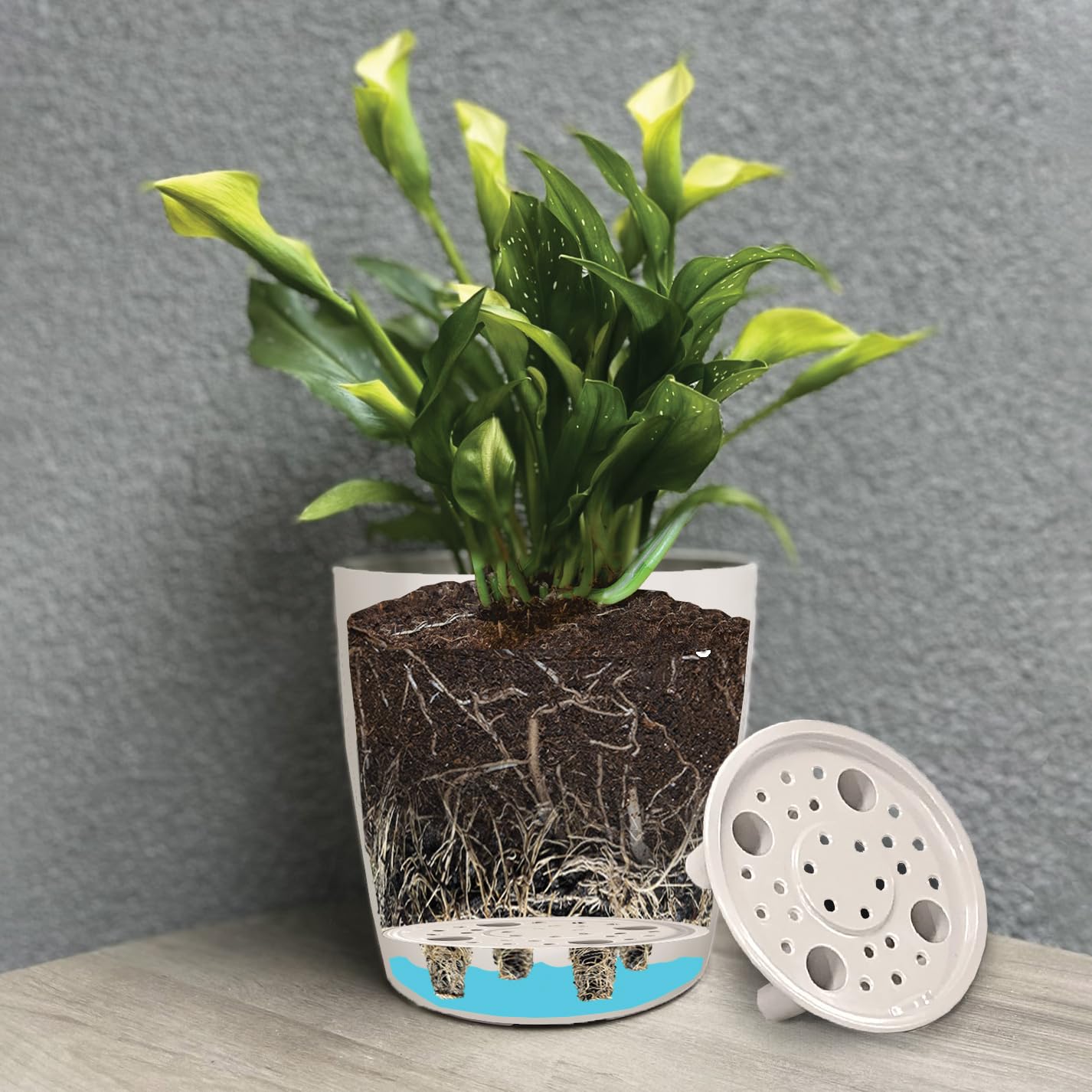 7” Self-Watering Pot – Eco-Friendly Bamboo Planter, Biodegradable & Plastic-Free, Indoor/Outdoor Plant Pot with Built-in Water Well for Healthy Root Growth