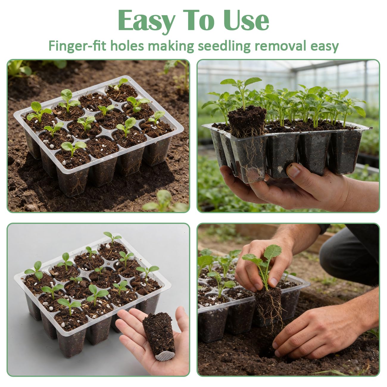RooTrimmer 60 Pack Reusable 12-Cell Clear Seed Starter Trays - Extra Large Drainage Holes, Easy to Repotted, Clear Transparent Tray for Root Observation, Seed Starting, Fits Standard 1020 Trays