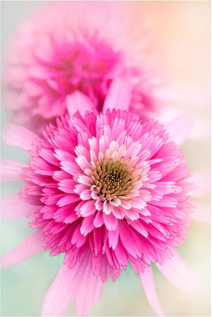 Trademark Fine Art Canvas Wall Art - Jacky Parker 'Summer Spirit' Wall Art for Living Room, Bedroom, or Office Décor 30 x 47 Inches