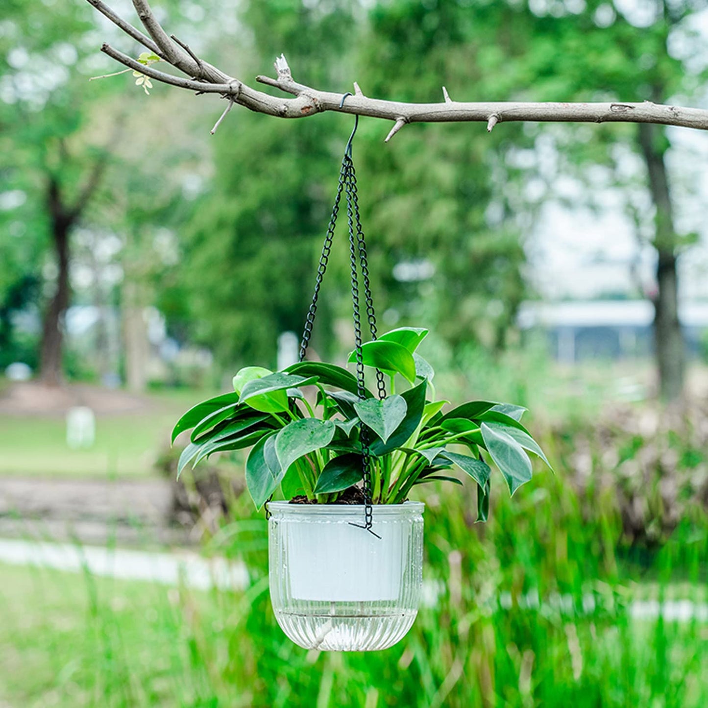 Melphoe 2 Pack Self Watering Hanging Planters Basket Indoor Hanging Flower Pots, 6.5 Inch Outdoor Hanging Plant Pot Basket, with Extra 30 Inch Macrame Plant Hanger for Garden Home Decor