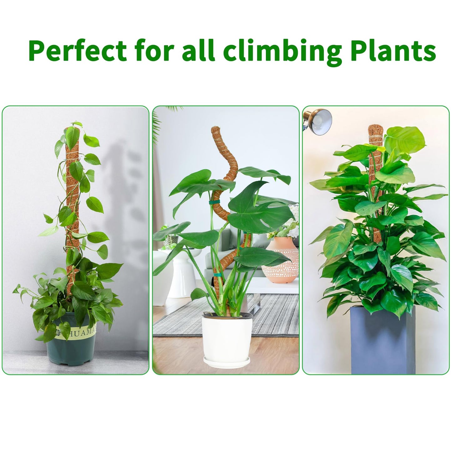 Dimpoo 2 Pack 48 Inch Moss Pole Monstera Plant Support, Coir Moss Poles for Climbing Indoor Plants, Bendable Plant Stake Trellis for Potted Plant, Pothos, Philodendron
