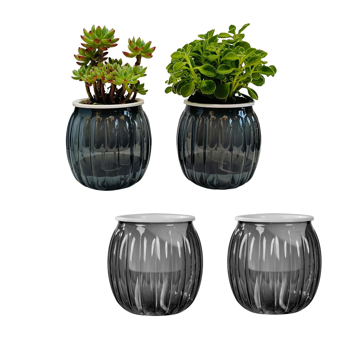 Cornasee 4" Pumpkin Planter Self Watering Pot, 4-Pack Small Plastic Planters for Indoor Plants,Flowers,Succulent,African Violets (Black, 4")