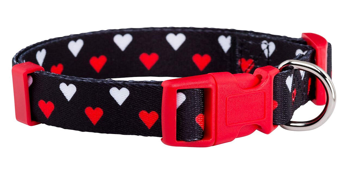 Native Pup Valentine’s Dog Collar- Valentines Day Pet Collars- Valentine Girly Hearts- Pink Red Heart- Cute Boy Girl Puppy Gift- Adjustable for Small, Medium, Large Breeds (Blue & Pink Hearts, Medium)