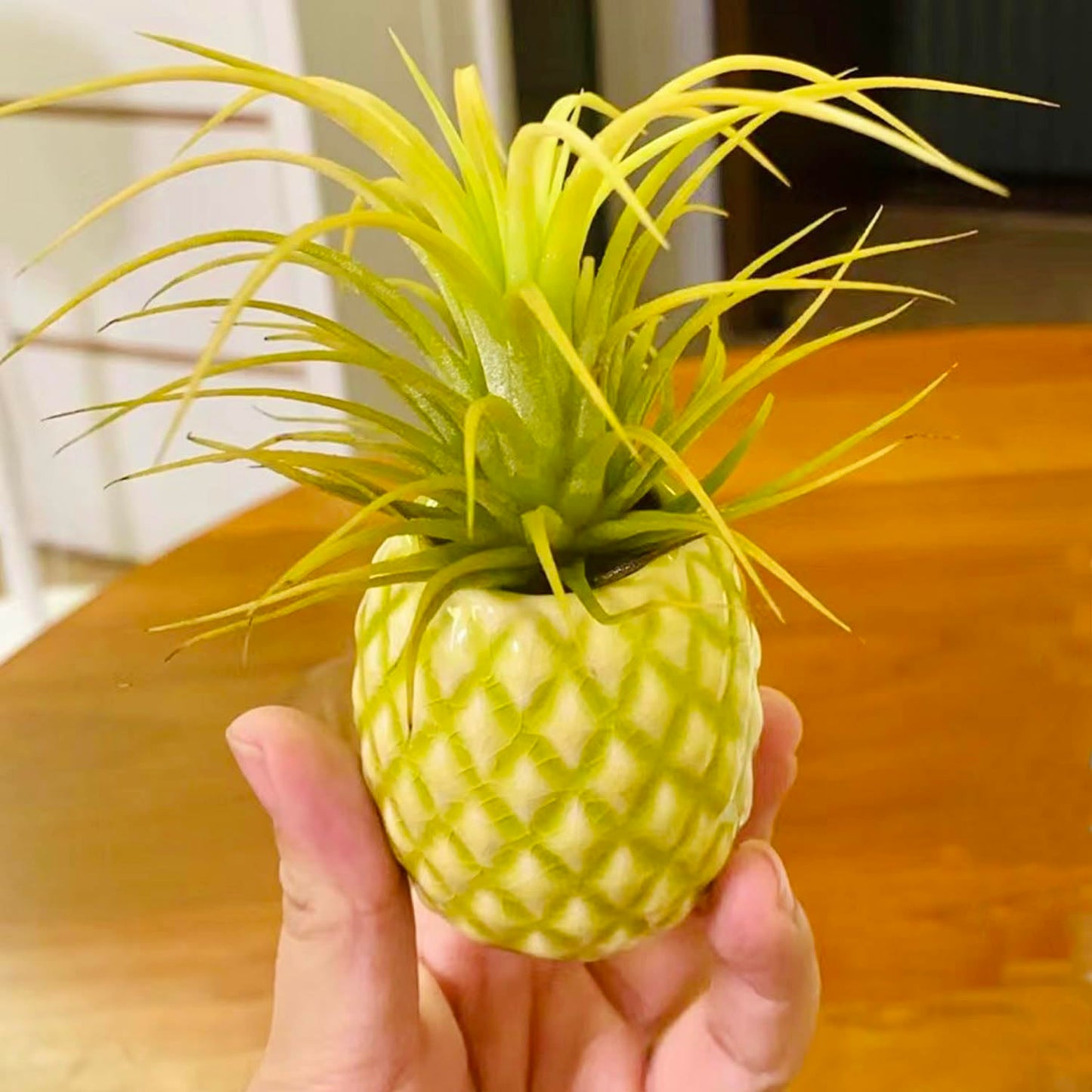 SCSFCVIUS Air Plant Holder Ceramic Planter - 4pcs Ceramic Cute Pineapple Air Plant Planter Tillandsia Airplants Table Countertop Holders (4 Pineapple)