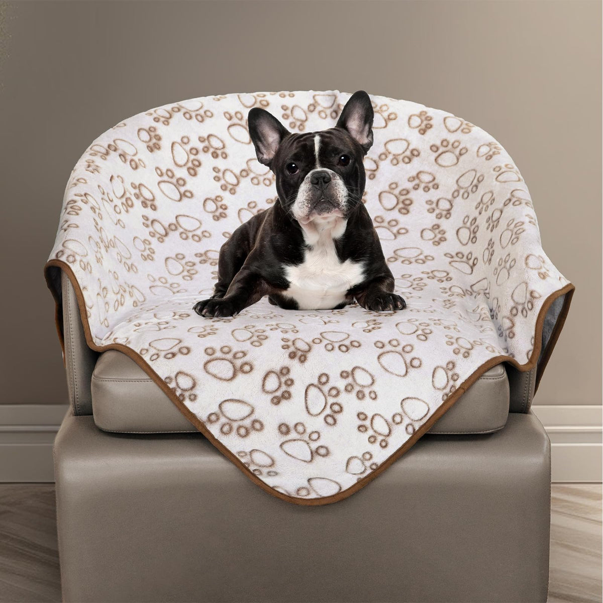 Stuffed Large Brown Premium Soft Dog Blanket, with Flannel Cute Paw Print, 43 * 66 inches, Cat Blanket Maltipoo Puppy Essentials