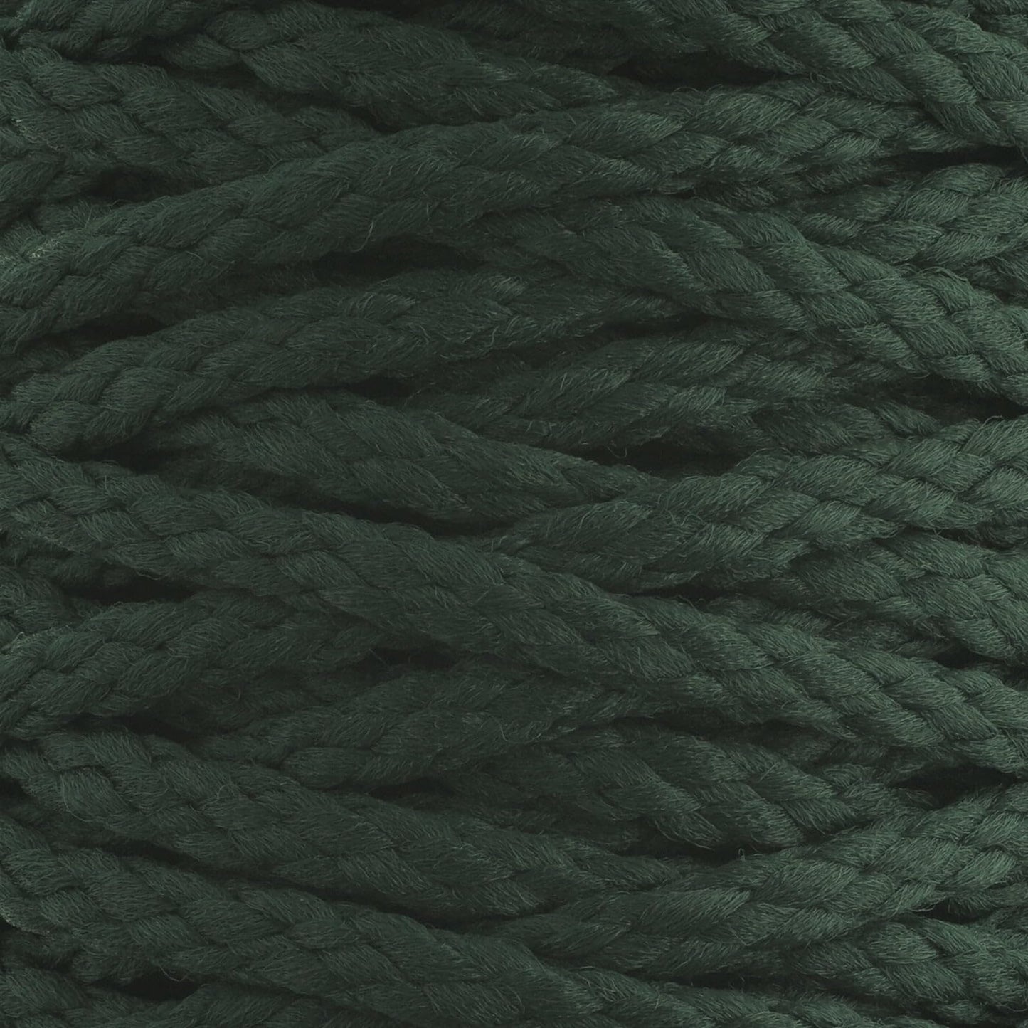 70yards x 6mm John Bead Forest Green Thermoplastic Nylon Braided Macrame Cord for DIY Craft Projects Wall Hanging, Plant Hangers