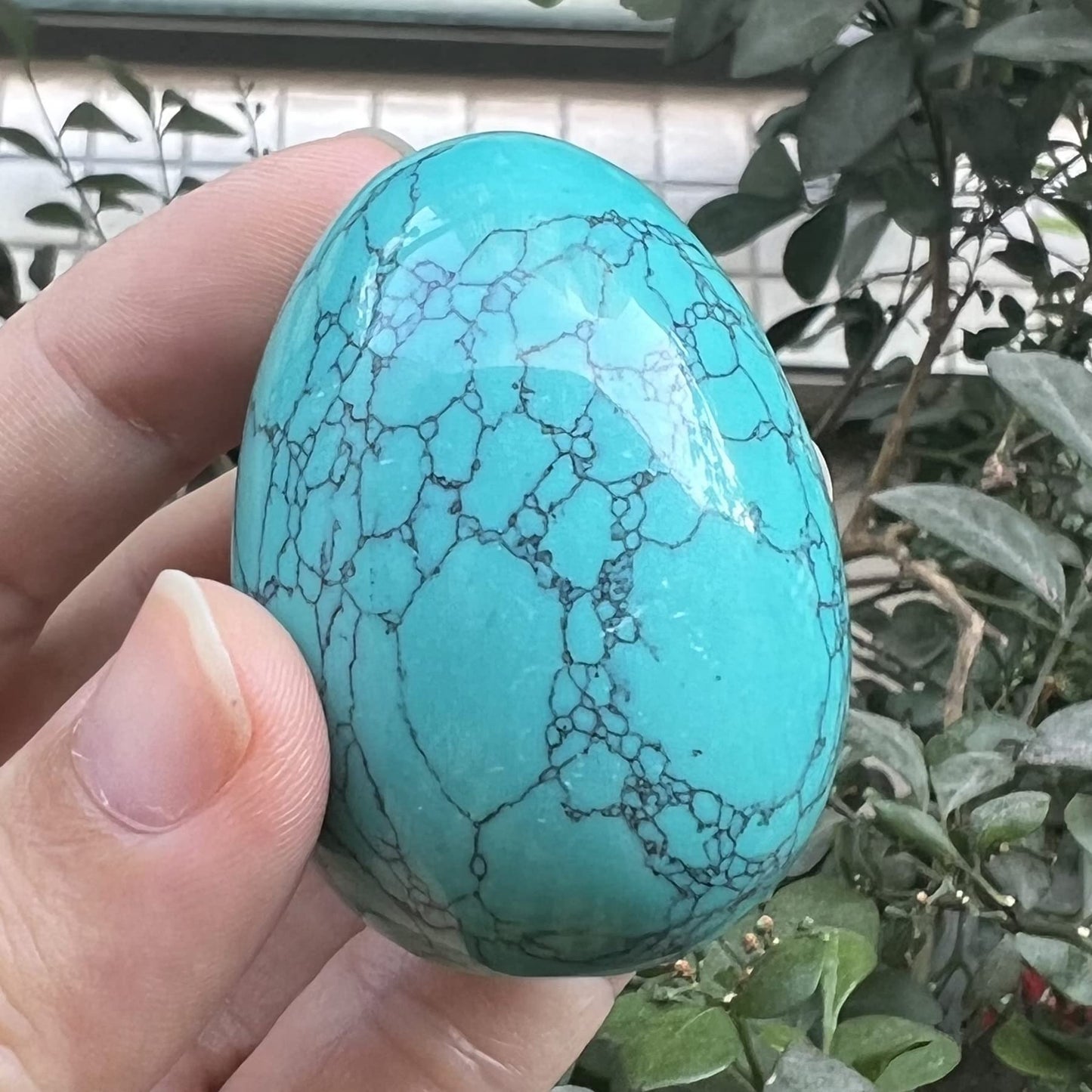 Fekuar Stone Egg Figurine, Polished Healing Crystal Easter Eggs Sphere Sculpture with Wood Stand, Green Howlite Turquoise, 1.8"