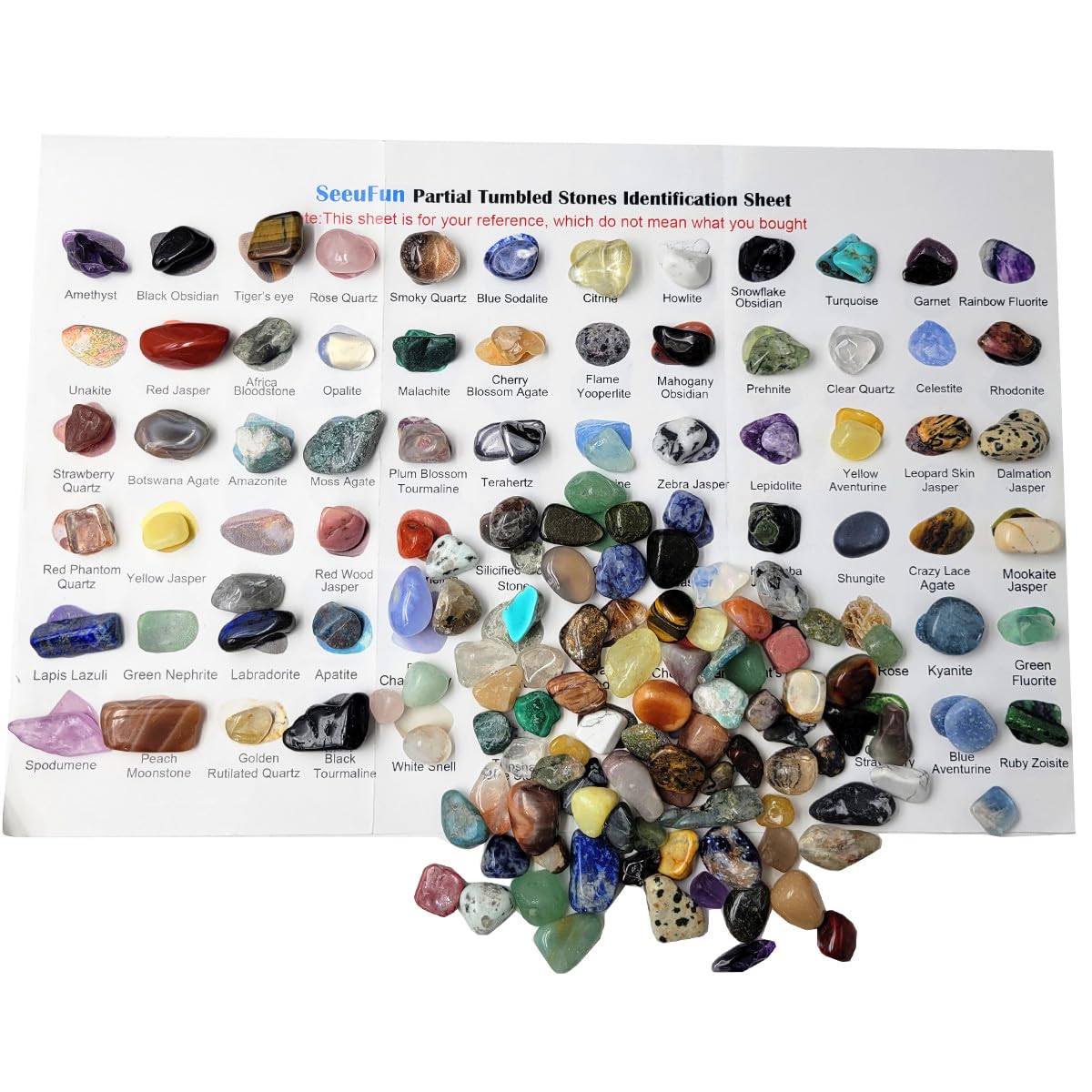 450 Pieces Rocks Collections for Kids, 40+ Kinds Gemstones and Crystals Set, Rocks and Minerals Science Kit Include 1.5lb Tumbled Chips Crystals and 1lb Tiny Rough Stones