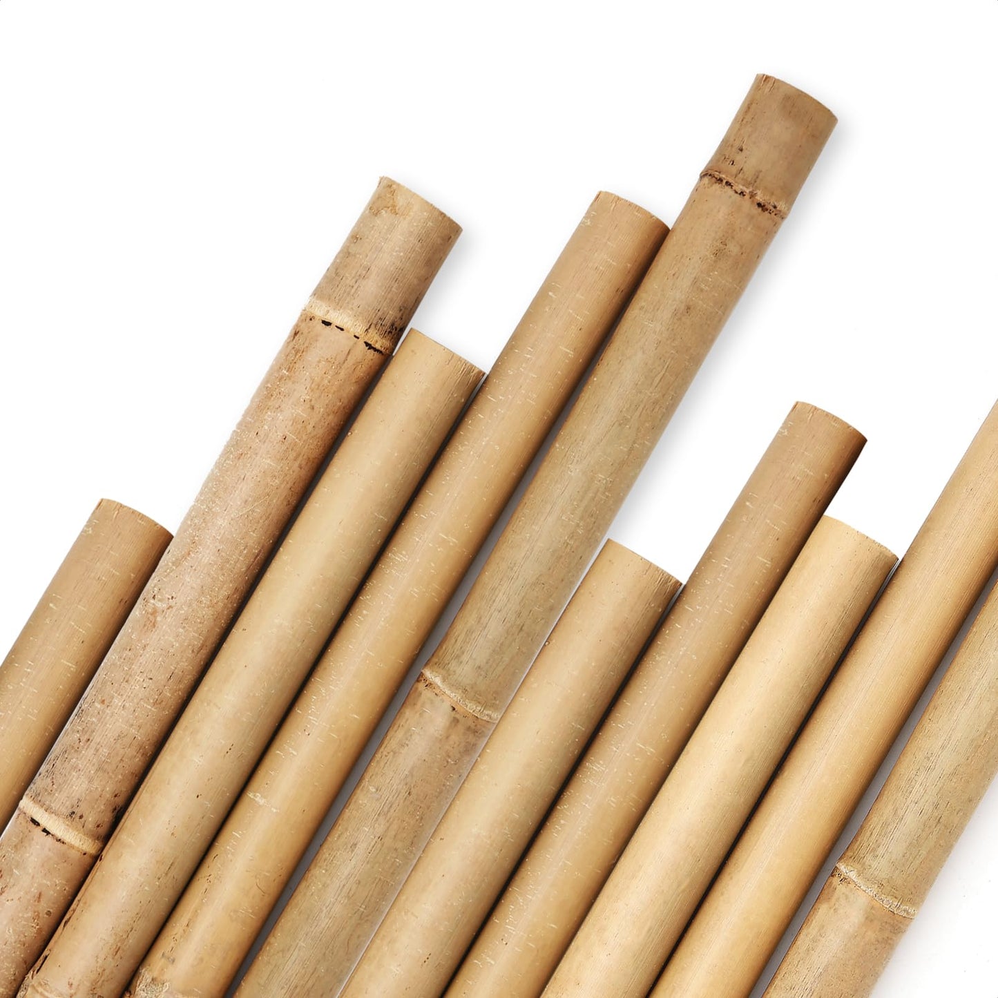 Cambaverd Bamboo Stakes 8 Feet, Diameter of 1 Inch Thicker Garden Stakes, Natural Plant Stakes for Tomatoes, Cucumbers, Grape Vine Climbing Plants Support and Natural Decoration - 10 Pack Bamboo Poles