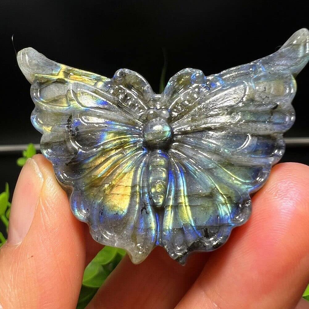 TEAMWILL 2" Natural Labradorite Carved Butterfly Skull Quartz Crystal Healing Reiki