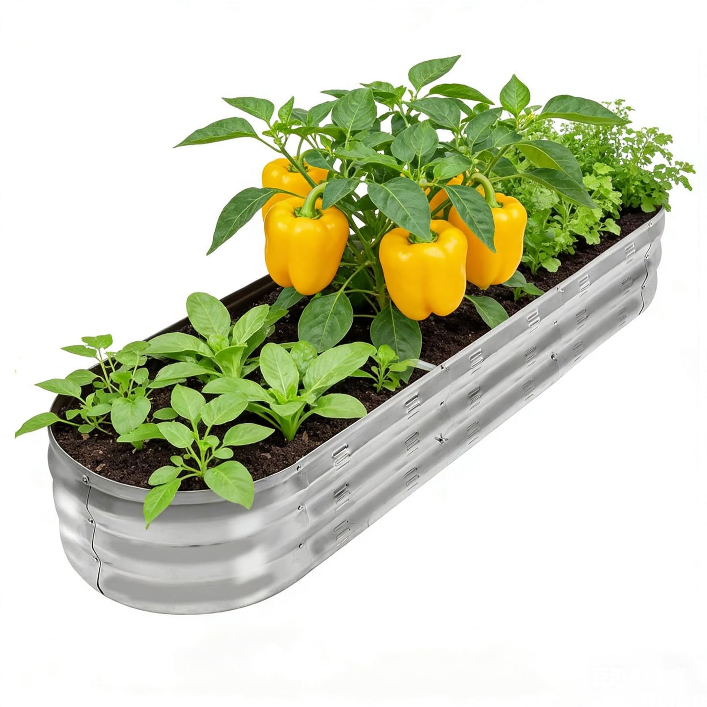 GADI Galvanized Raised Garden Bed, Metal Planter Box for Vegetables and Flowers 1 Pack