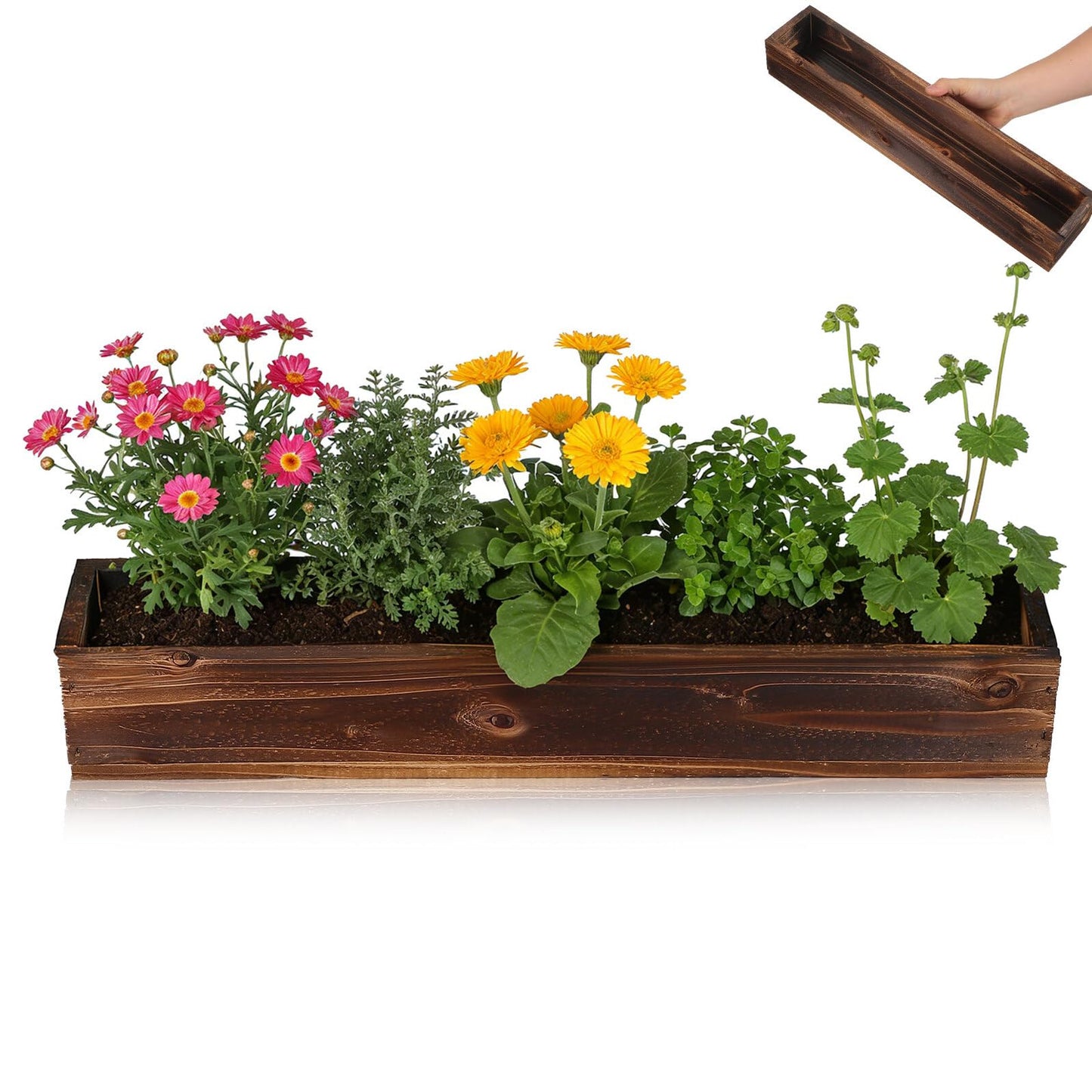 Sewroro Wooden Succulent Flower Box Planter for Indoor and Outdoor Use, Carbonized Wood Window Planter with Drainage Hole, Rectangular Rustic Flower Pot for Balcony Garden