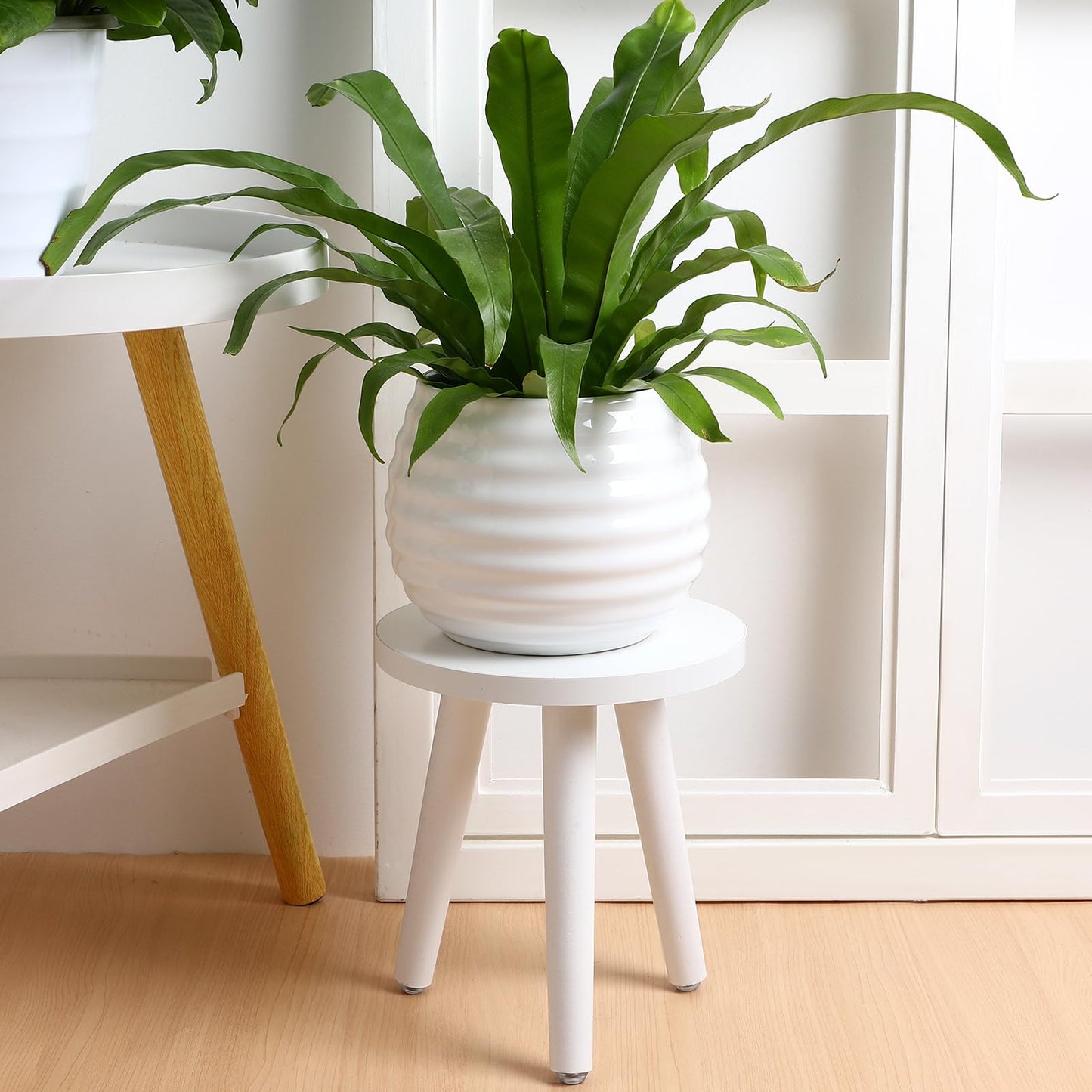 Cabilock Indoor Plant Stand, Wood Plant Table Stand, Boho Sturdy and Stable Flower Pot Holder, Single Bonsai Stool Holder Tall, Corner Modern Decor (White)