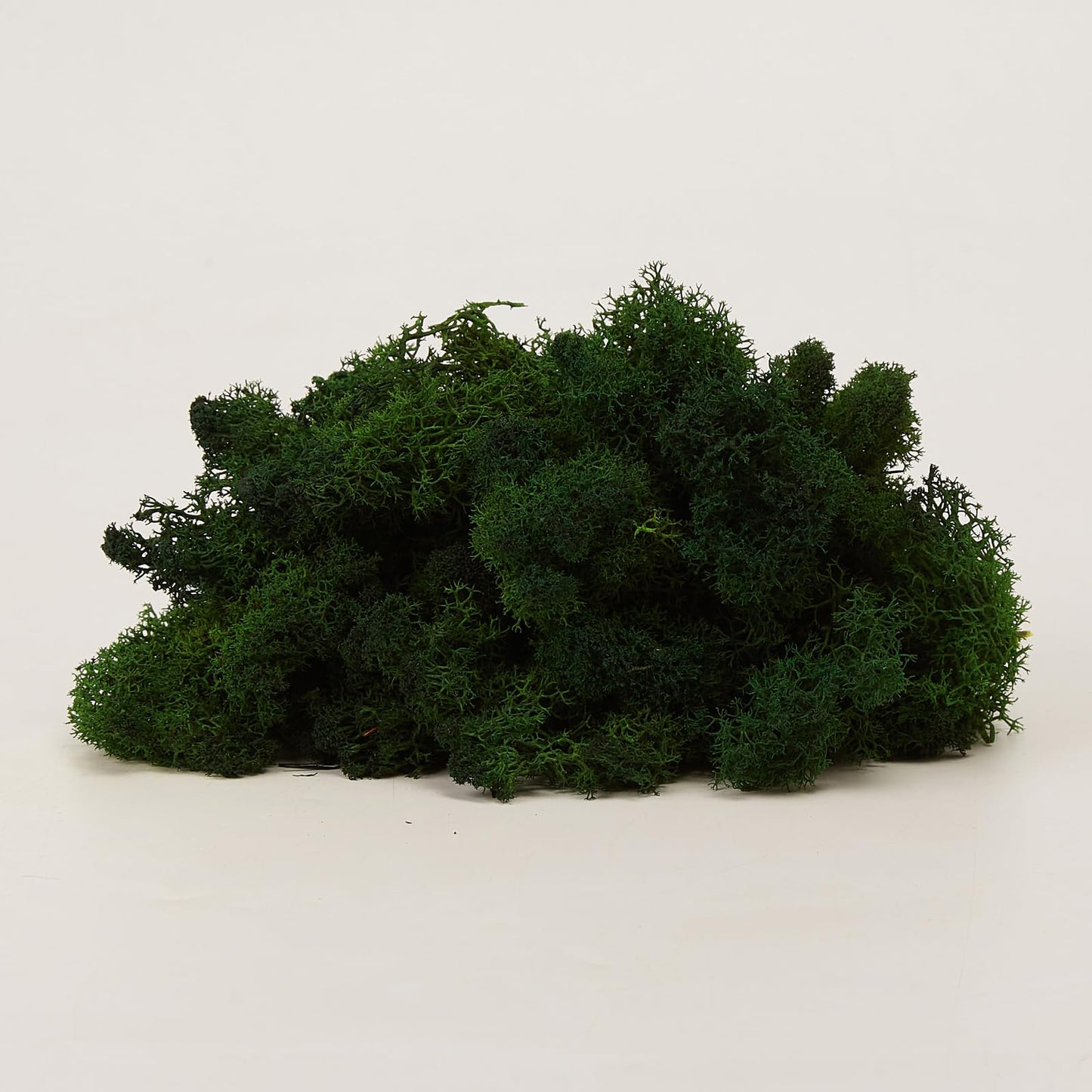 Prefleur Preserved Reindeer Craft Moss Natural DIY Kit Gardenning Art Wall Olive Green Florist Easter Table Decor Wedding(0.85lb)(Green-12)