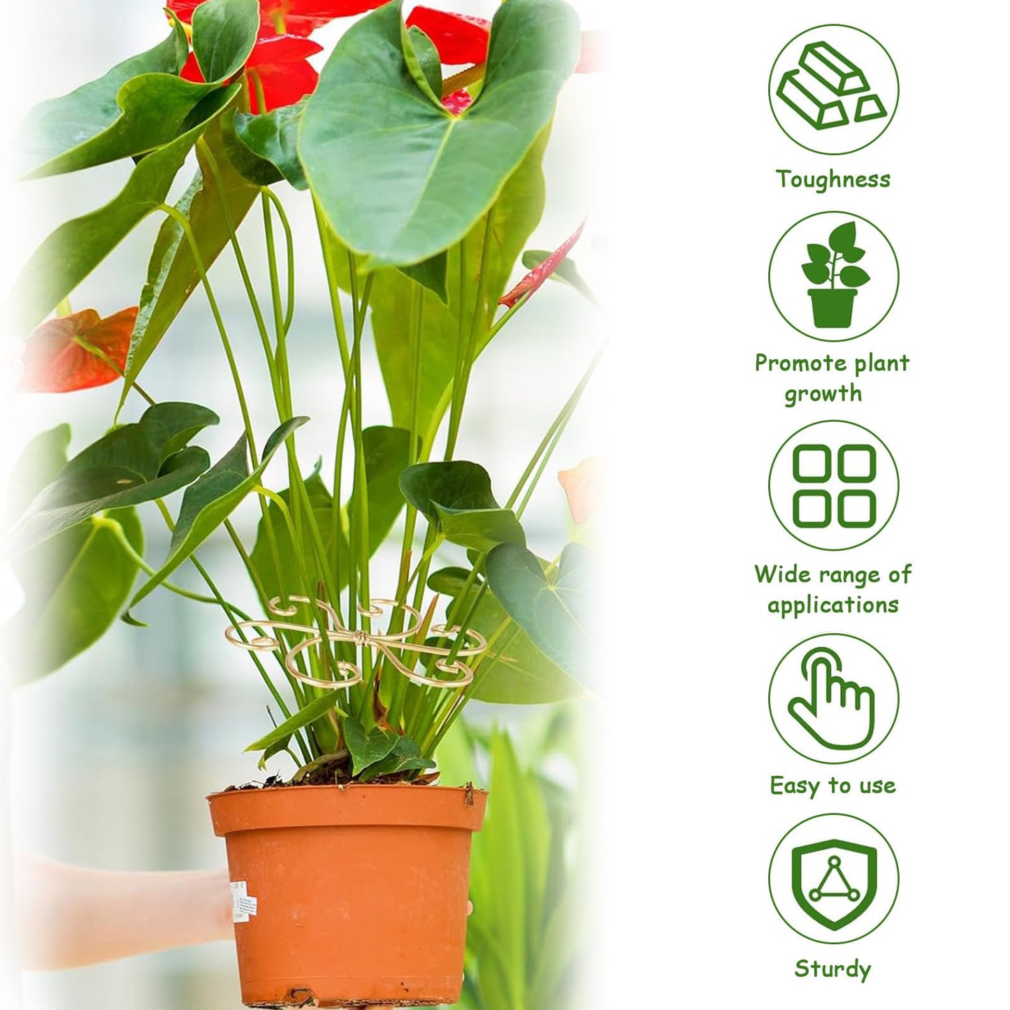 5 Pcs Plant Stem Support, Iron Monstera Plant Support, Durable Hook Stem Supports for Healthy Growth, Bamboo Clamp Set for Leaf Stabilization and Support, Ideal Present for Plant Lovers