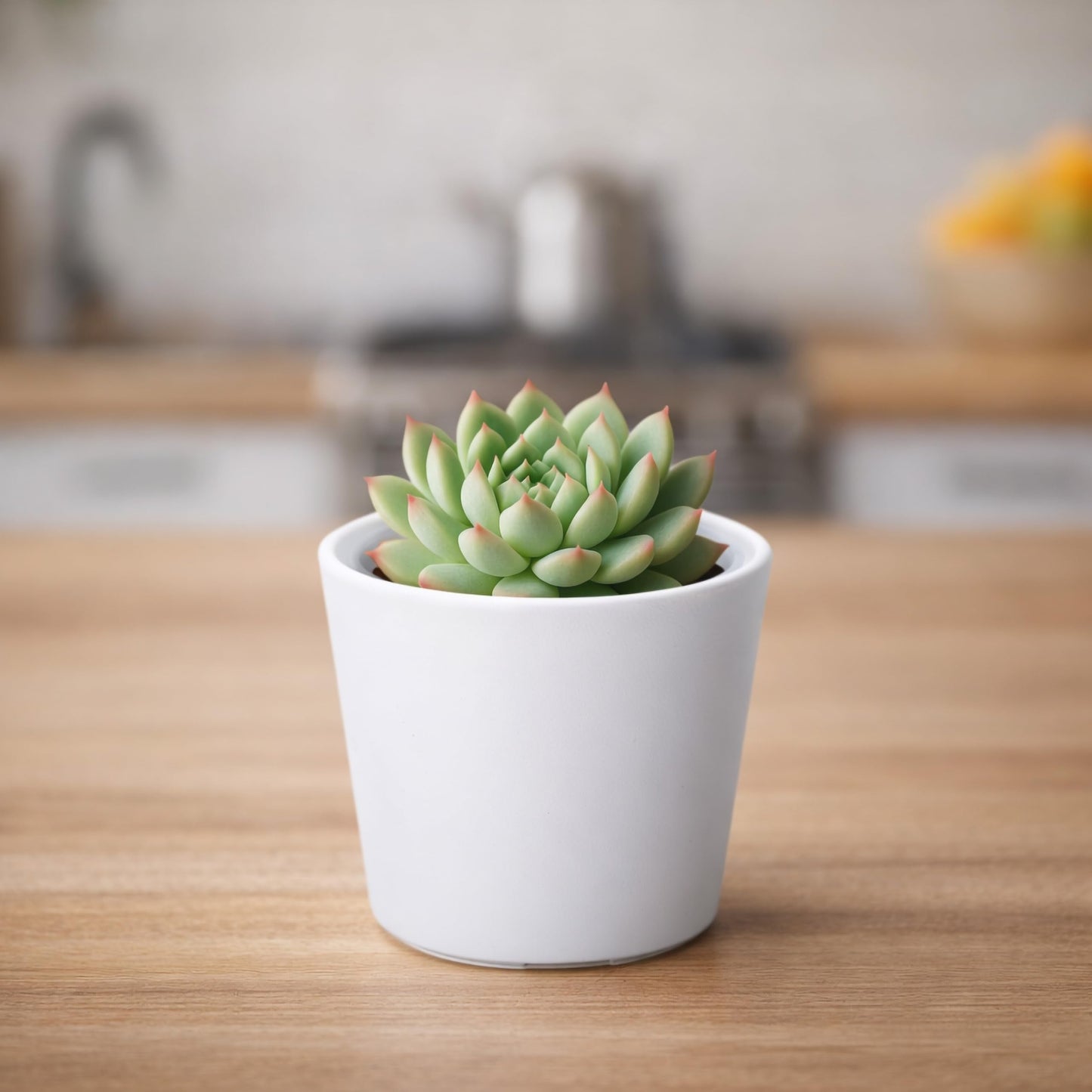 Phoenix Vine 3.5 Inch White Plastic Cachepot with Clear Nursery Pot, Decorative Lightweight Planter Cover with Transparent Inner Pot for Indoor Houseplants, Pack of 6, 24-A-D-6
