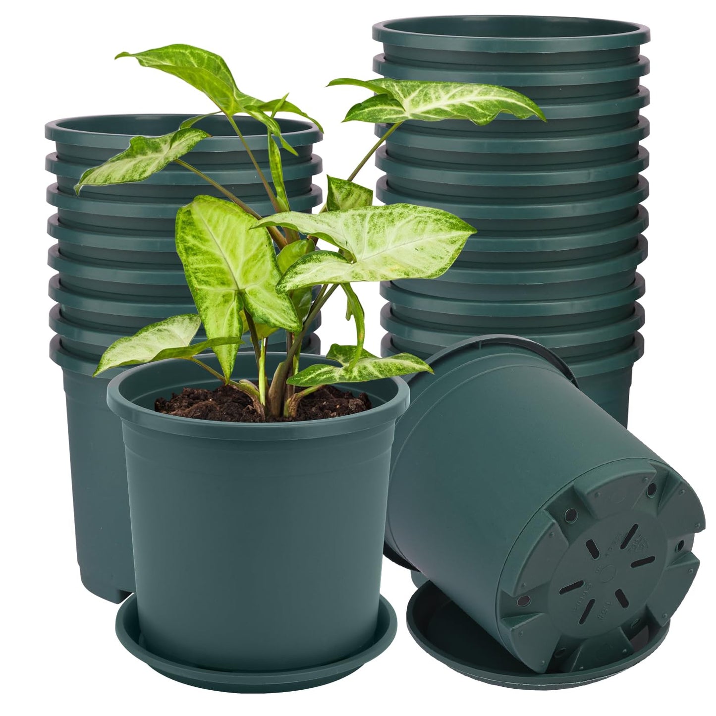 IHDYPPEW 24 Pack 1.5 Gallon Nursery Pot, 7 Inch Garden Pots, Plastic Flower Pot with Matching Tray (Green)