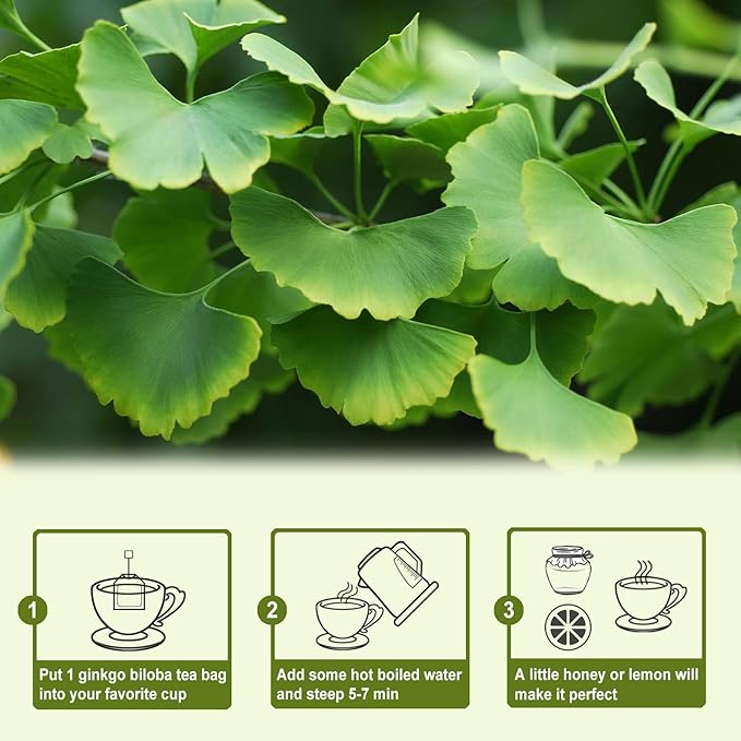 TEARELAE - Ginkgo Biloba Tea Bags, 50 Count - 100% Pure Ginkgo Biloba Leaves - Non-GMO - Naturally Caffeine-free Herbal Tea - Support Vision Health & Enhance Immunity