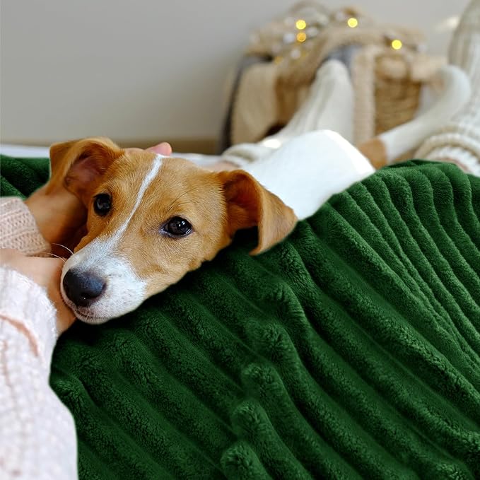INFIIXSO Sherpa Fleece Queen Size Blanket - Super Soft & Warm Striped Fleece, Cozy Plush Fluffy Large Bed Blanket All Season Use (Dark Green, 90x90 Inches)