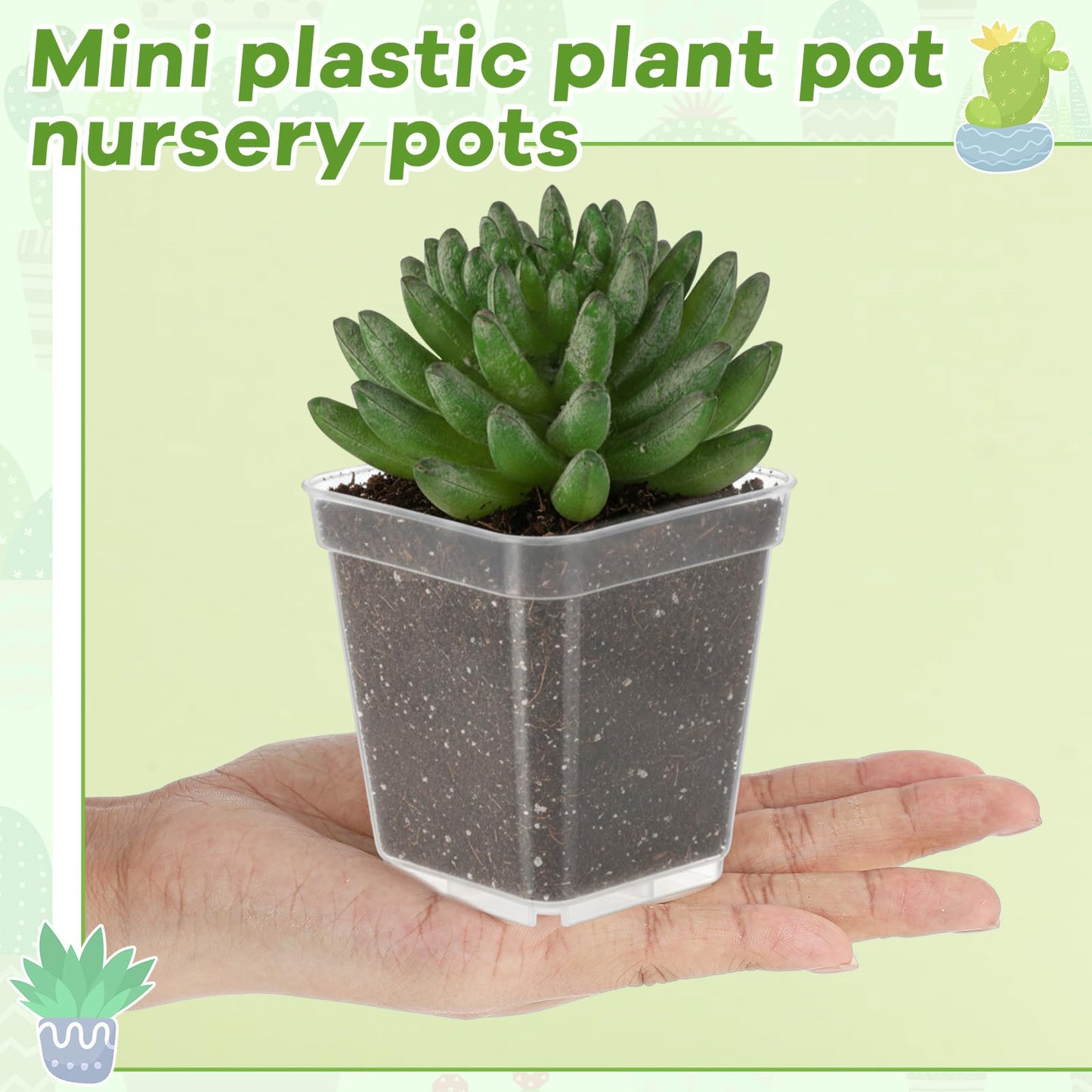 Yaomiao 200 Pack 3 Inch Clear Nursery Pot Square Flower Pots Plastic Plant Succulent Planter Seed Starting Pots with Drainage Holes for Garden Office Balcony Decor Indoor Outdoor Plant Seedling