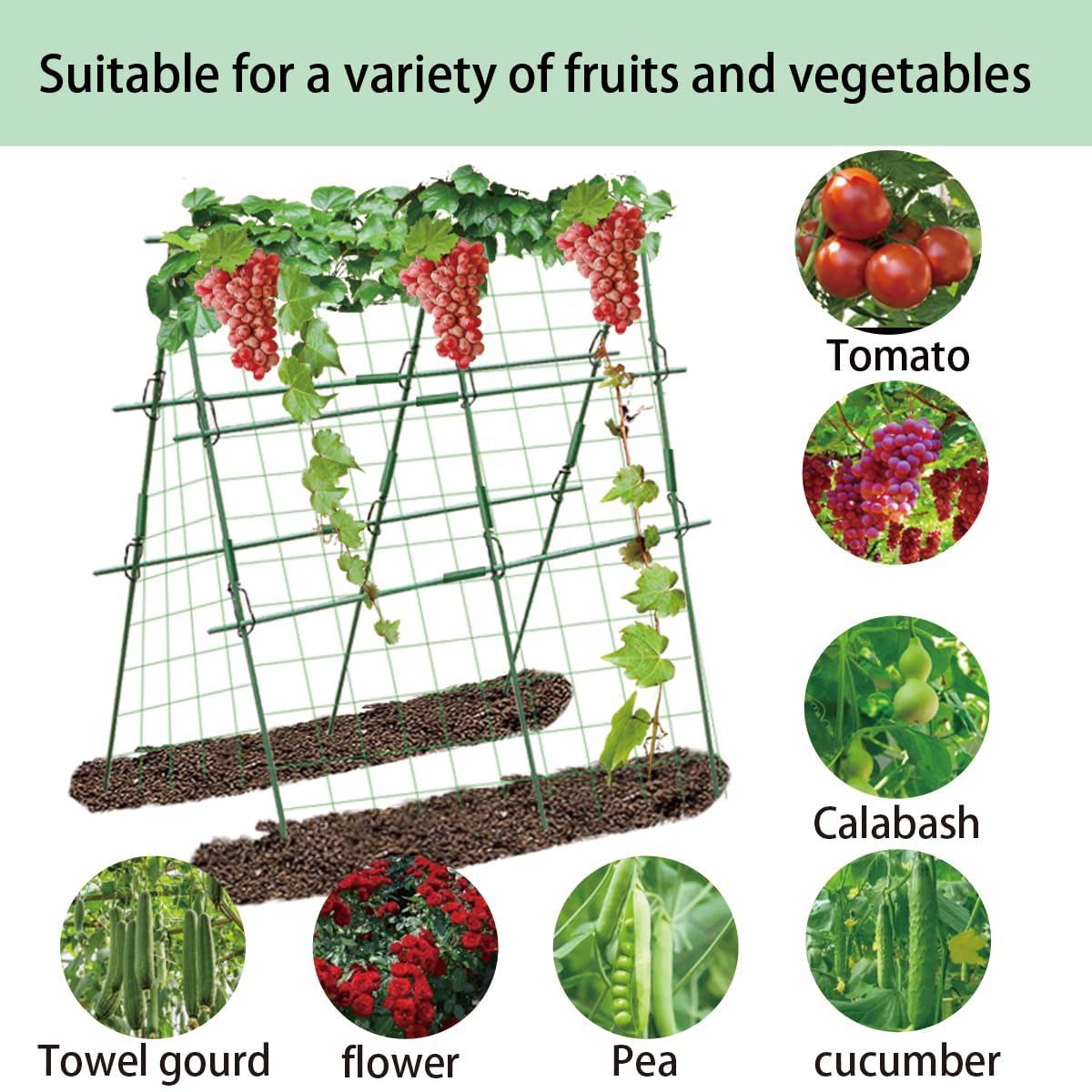 Foldable Cucumber Trellis for Garden - Adjustable Climbing Support for Vegetables, Vining Plants, Cucumbers, Tomatoes, and Peas - Heavy Duty, Weather-Resistant, Easy to Install