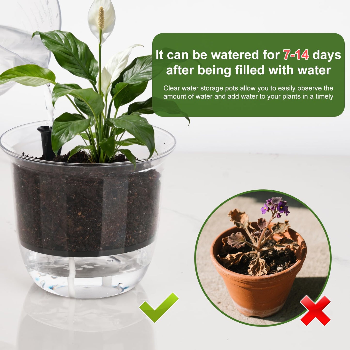 IWNTWY Self Watering Pots, 3 Pack 5 Inch Clear Plant Pot Self Watering Planter Flowers Pot with Deep Reservoir for Indoor Plants (3 Medium)