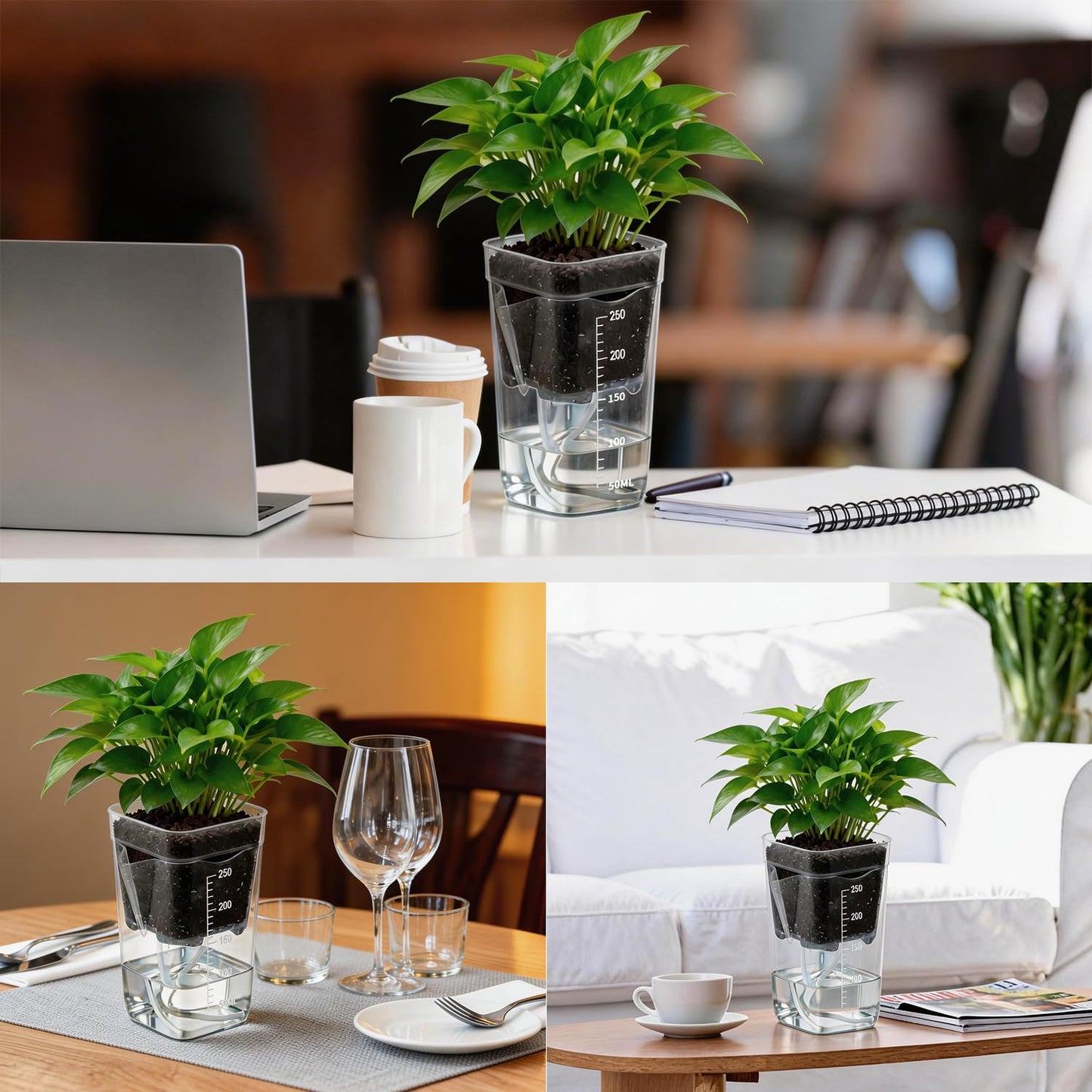 8 Pack Self Watering Pots with Transparent Double-Layer Design, 2.5" Small Plastic Planter for Indoor Plants, Semi-Hydro, Propagation, Flowers, Herbs - Includes 12 Plant Labels & Flower Stickers