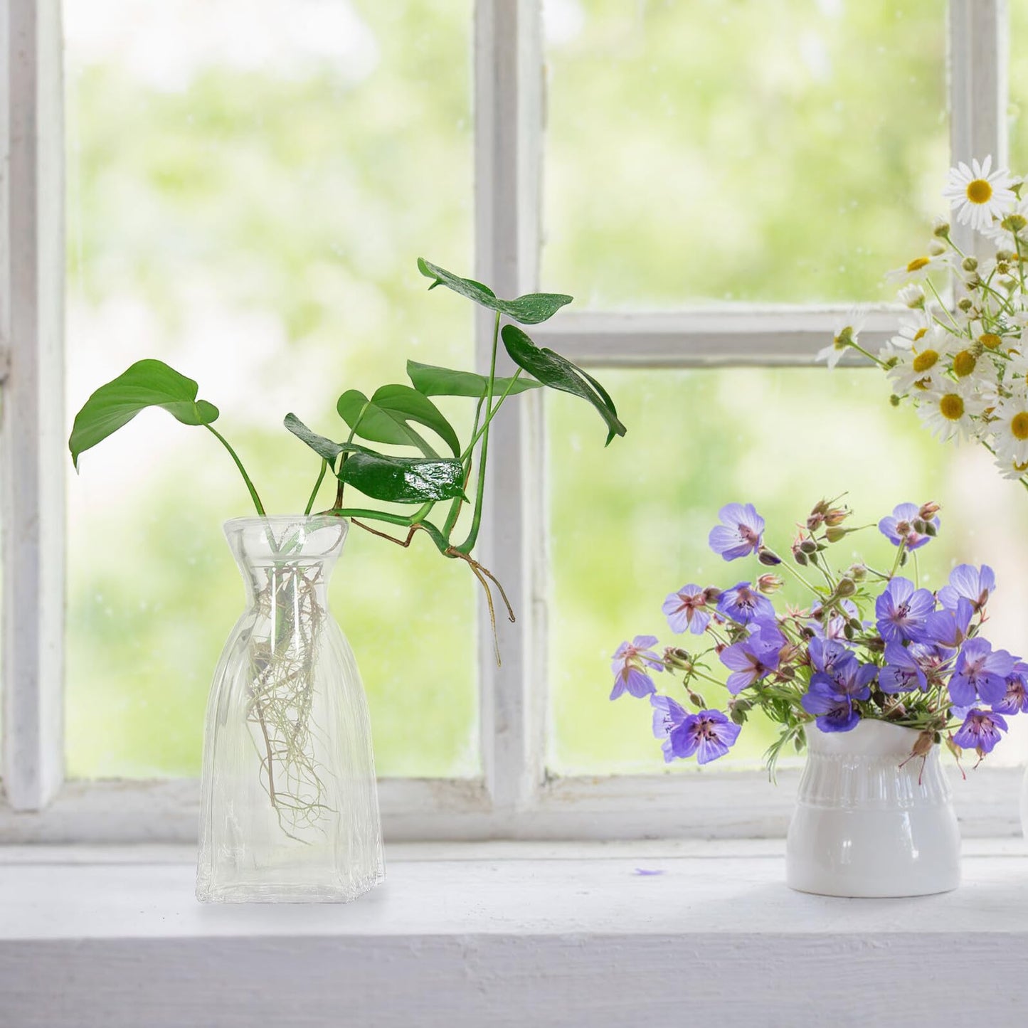 ORFOFE 4pcs Hydroponic Glass Flower Vases Small Decorative Terrarium Bottles for Home Desk Office Plant Propagation
