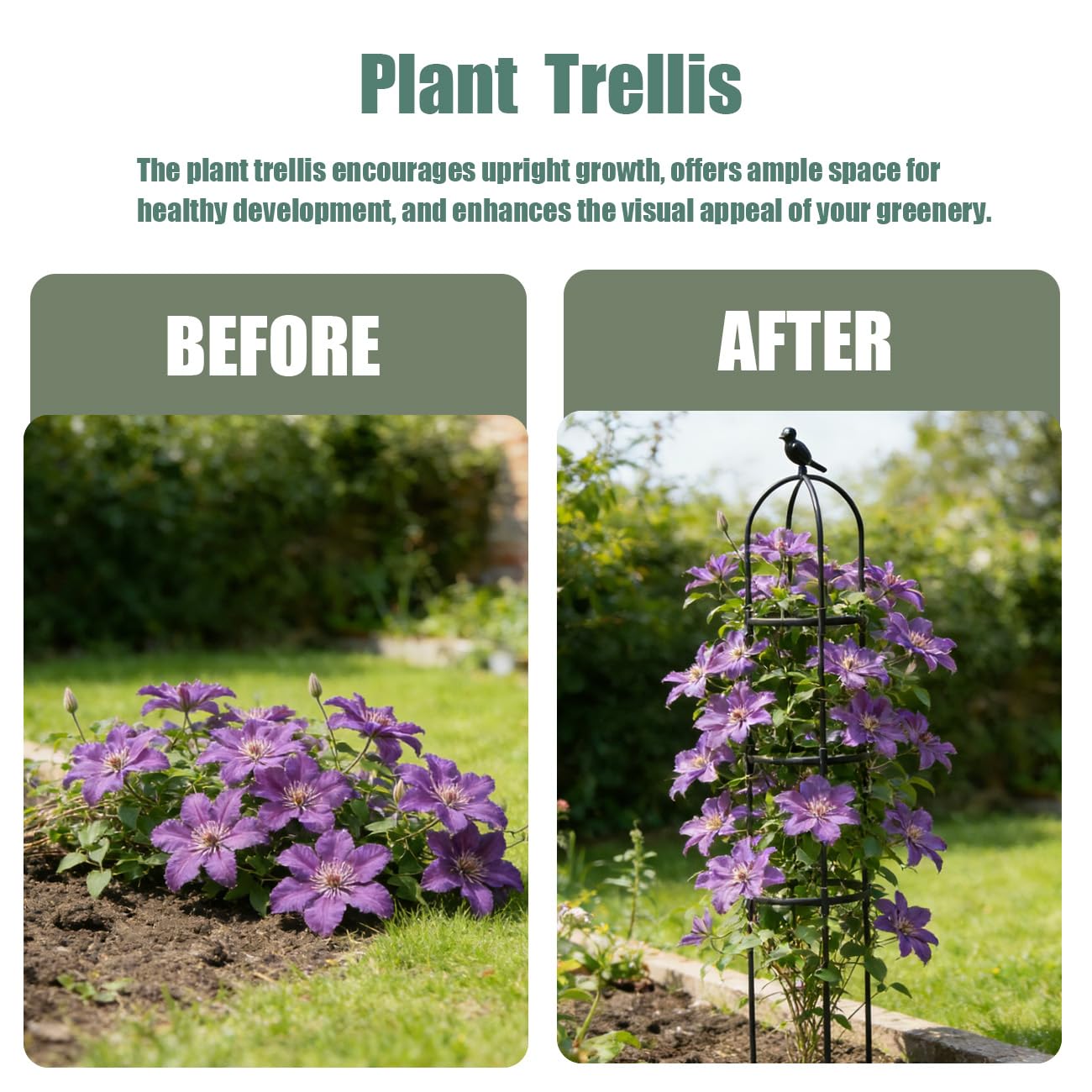 Garden Trellis, 63" Plant Support with Bird Decoration, Plant Trellis for Climbing Vines,Black Decorative Garden Cage for Climbing Roses, Clematis, Vegetables in Patio & Yard-1PACK