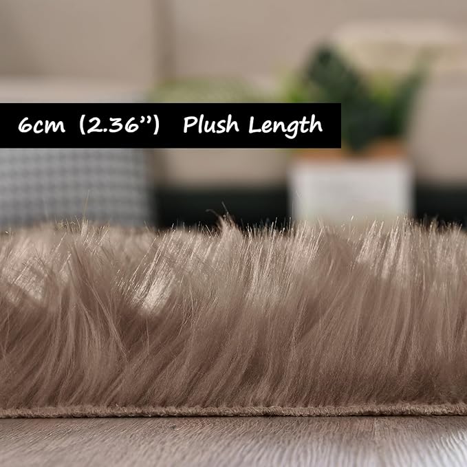 Goolela Beige Area Rug 6x9 Light Brown Fluffy Fuzzy Sheepskin Rug for Living Room Bedroom Shag Faux Fur Carpet Rectangle