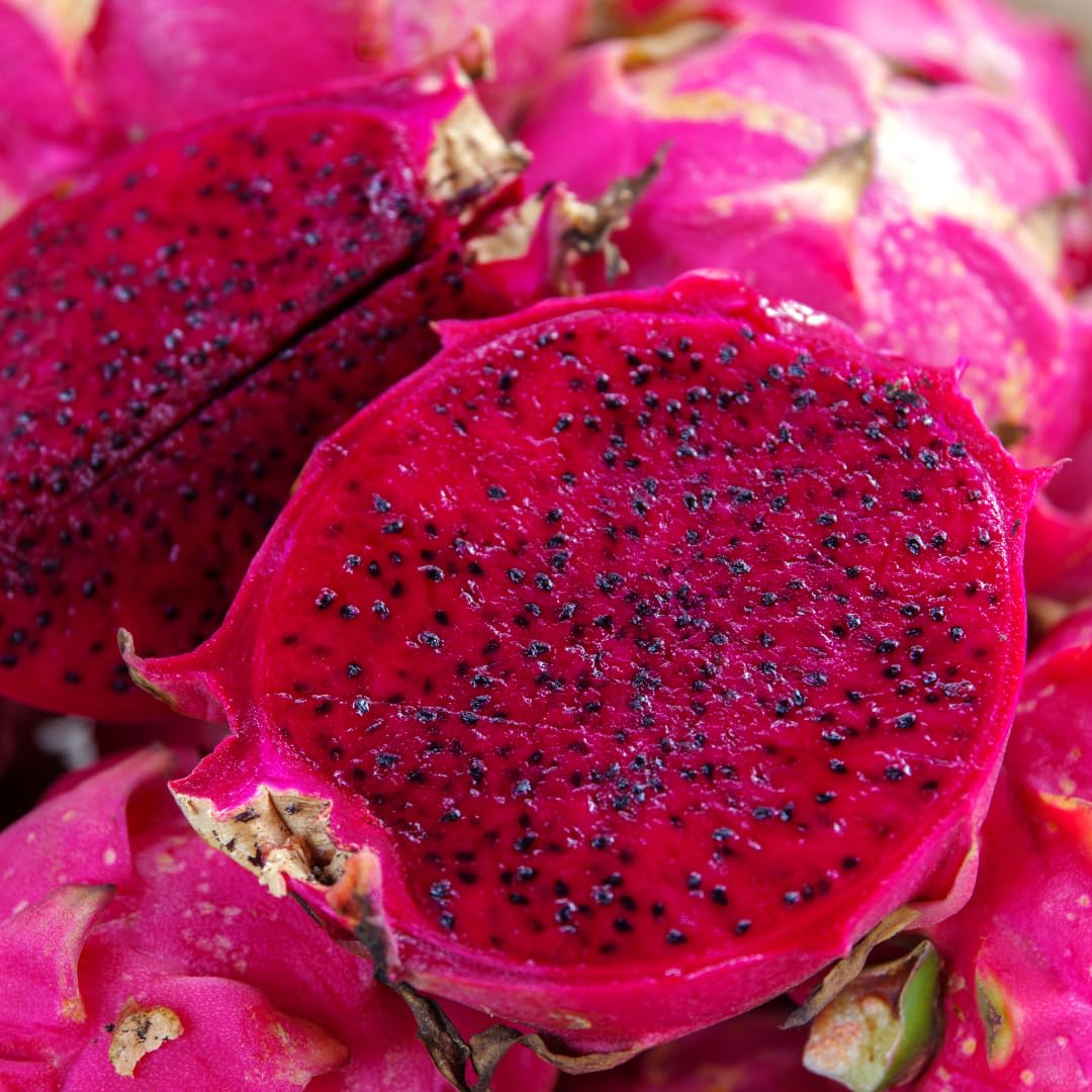 Live Red Dragon Fruit Plant, Tropical Dragon Fruit Vine Plant, 10-12 Inch Tall for Outdoor Planting