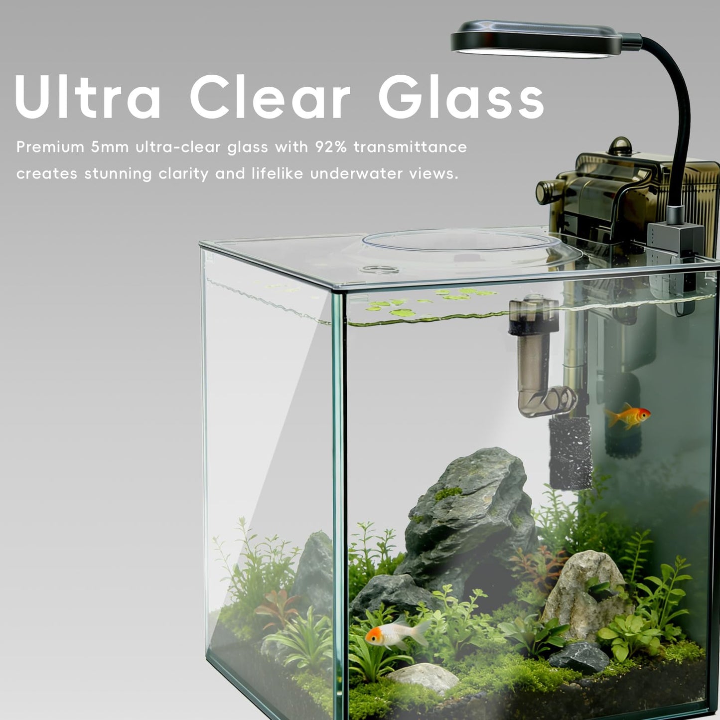 Turchongeco 2.1 Gallon Nano Aquarium Kit with Lid, Space Saving Hang-On Filter and LED Light, Ultra-Clear Rimless Glass Desktop Fish Tank for Small Fish, Shrimp, and Betta
