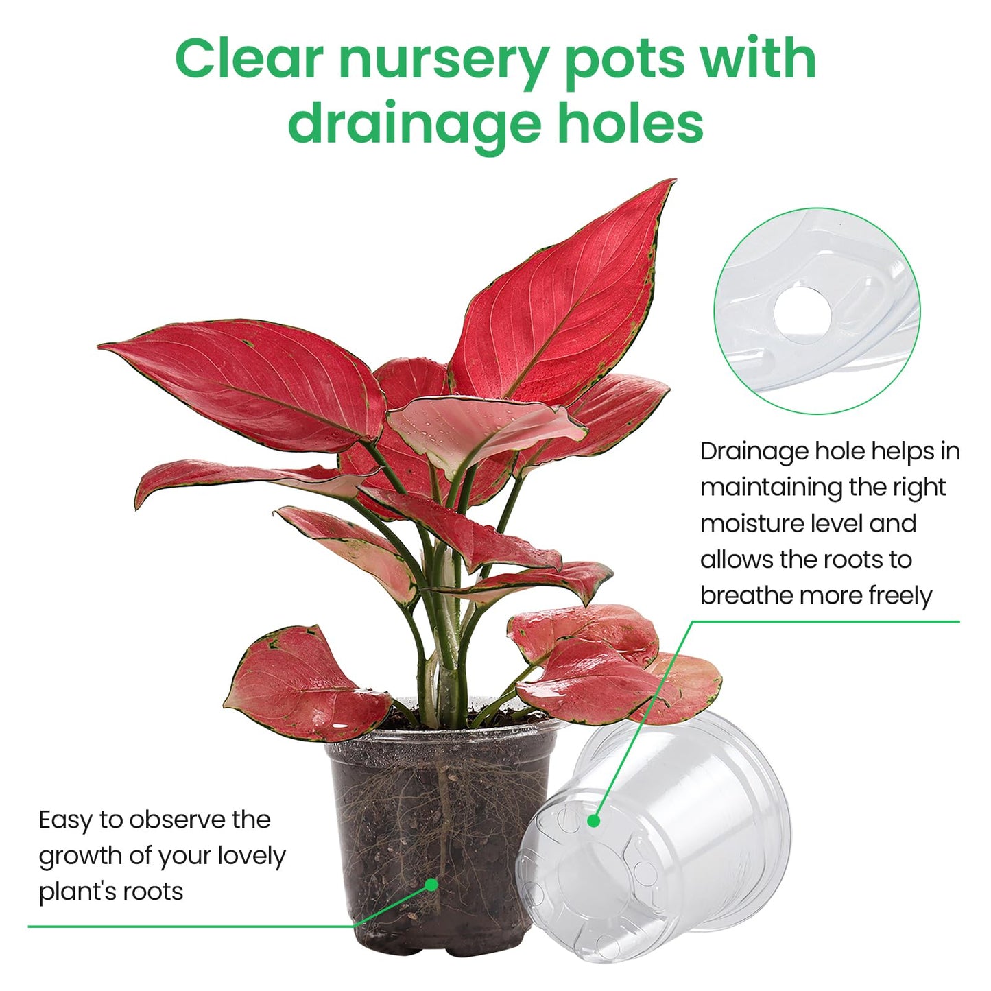 Bluepro 36 Packs 5/4/3.5 Inch Reinforced Clear Nursery Pots with Drainage Hole, Transparent Variety Pack Plastic Plant Pot Seedling Planter for Vegetable Propagation, Root Cutting, Seed Starting