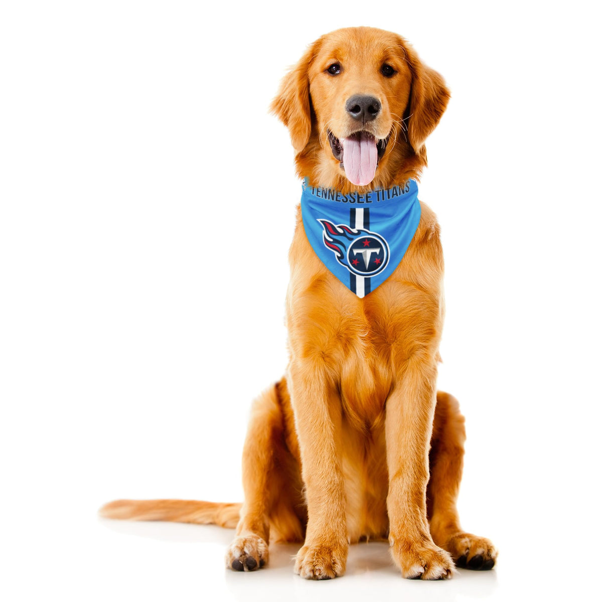 Littlearth NFL Denver Broncos Pet Bandana, Team Color, Small