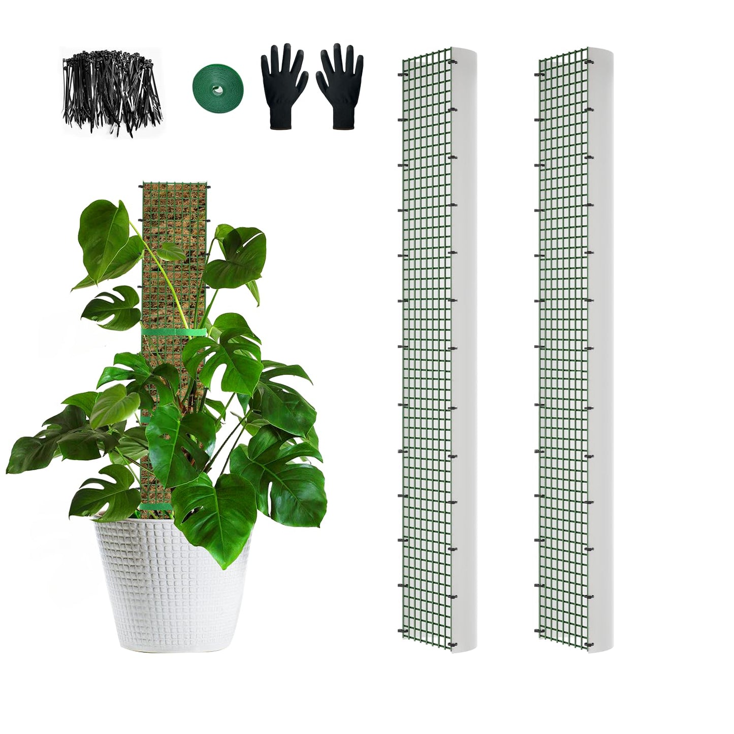40" Metal Moss Pole, D Shape Sphagnum Moss Pole, Moss Poles for Climbing Plants, Monstera, Indoor Climbing Plants (2Pcs 40")