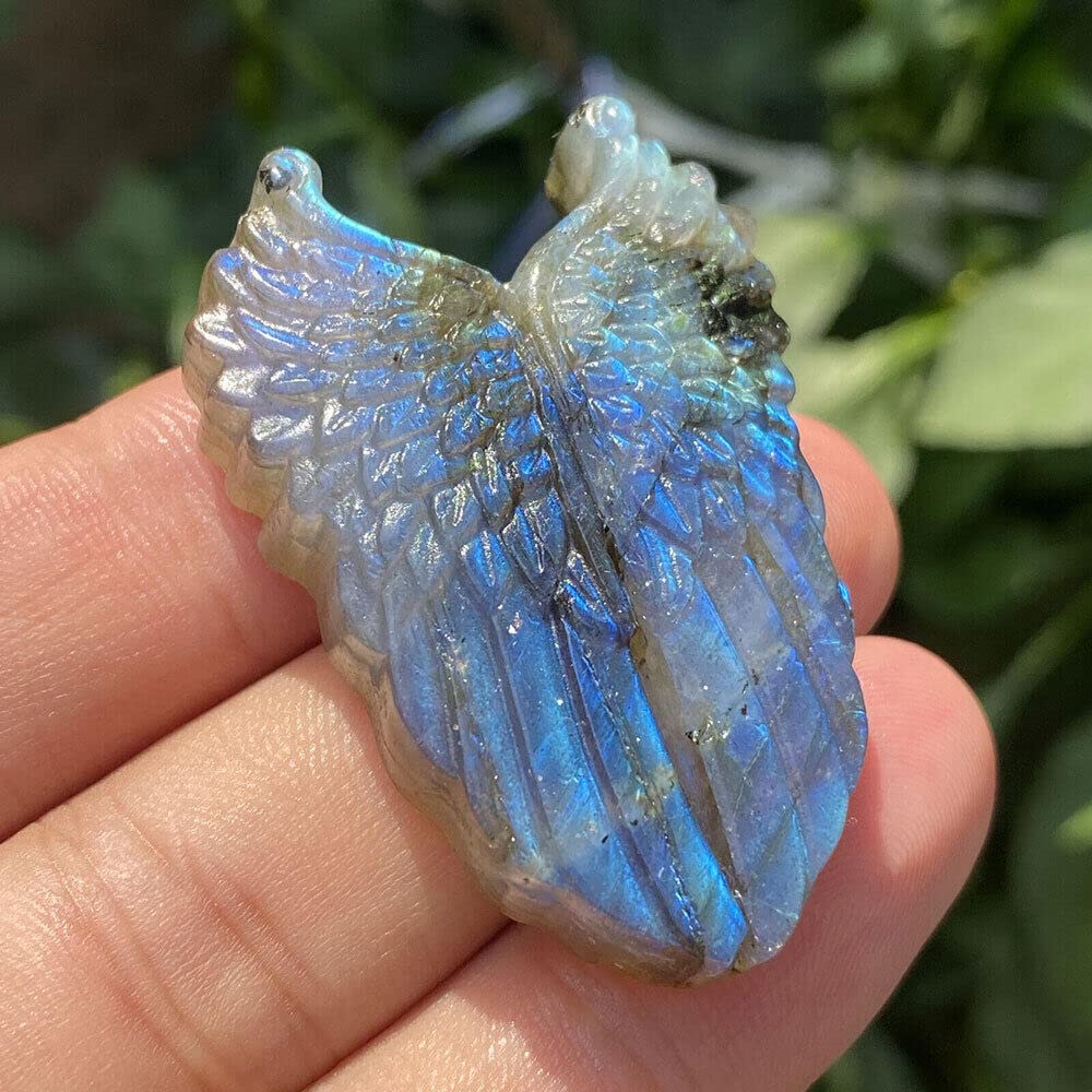 1PC Natural Labradorite Hand Carved The Wing Skull Quartz Crystal Healing Reiki