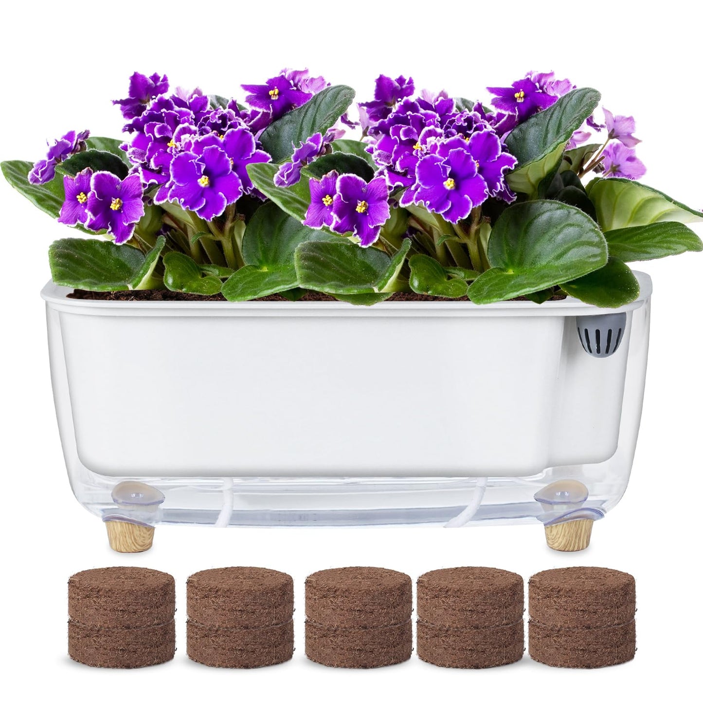 Oliz Self Watering Planter with Coco Coir Pellets, 11.8 Inch Plastic Rectangular Windowsill Plant Pot with Drainage Holes, High Clear Modern Decorative Flower Pot for Indoor Plants, African Violets