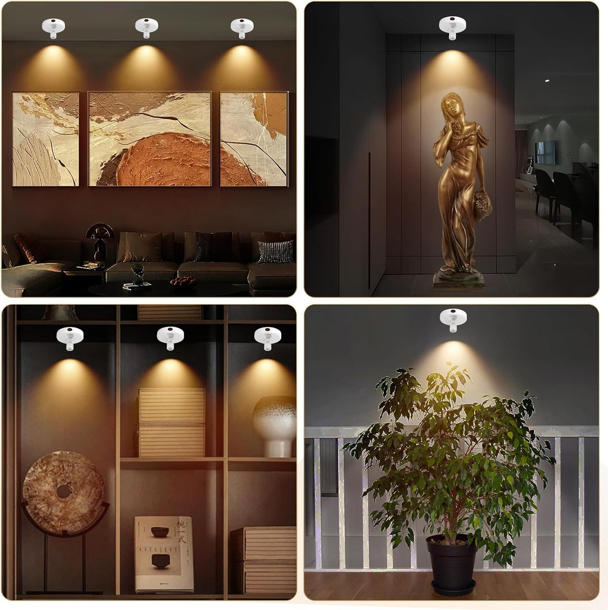 Cordless Spotlight Battery Powered, Plant Spot Light Indoor, Rechargeable Picture Lights with Remote, LED Accent Lighting, Dimmable Uplight for Tree Dartboard Decor Painting Art Photo