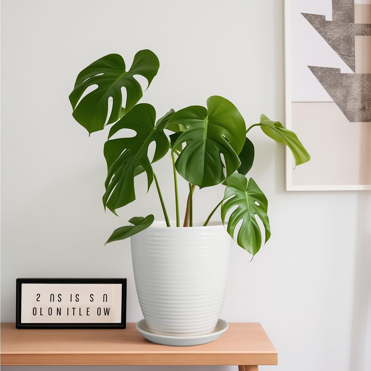 EPFamily 8 Inch Ceramic Planter Pot Round Plant Pot with Drainage Hole and Saucer Modern Flower Pot for Indoor Outdoor Plants White