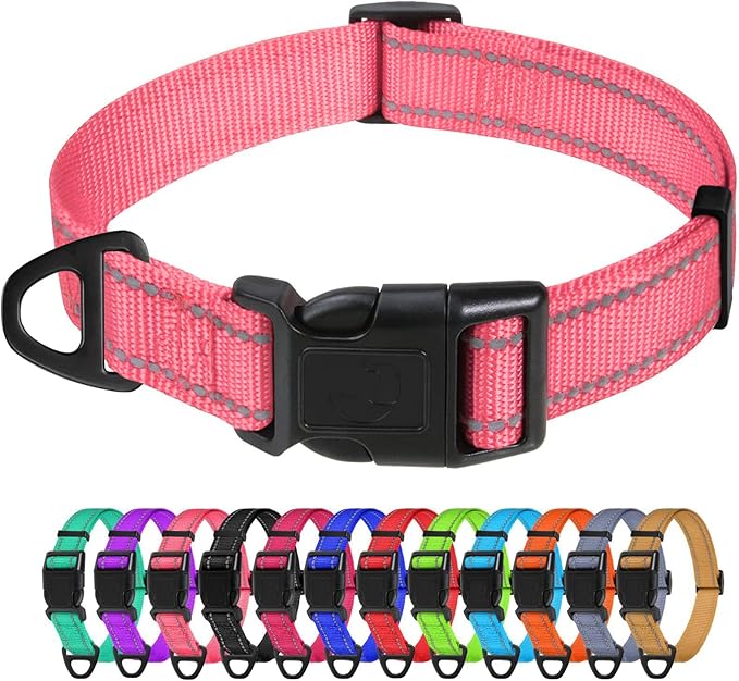 TagME Large Dog Collar, Reflective Nylon Collar, Khaki, 1.0" Width