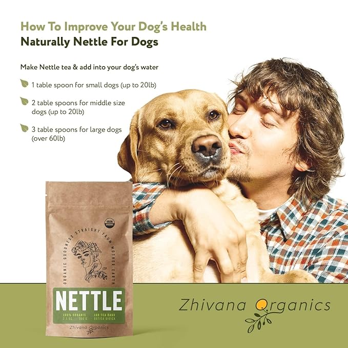 Organic Nettle Tea (100 Tea Bags) - Stinging Nettle Leaf TeaBags (Urtica Dioica) - Te de Ortiga Verde Organica - Support Digestion, Fluid Balance, Kidney, Skin, Hair