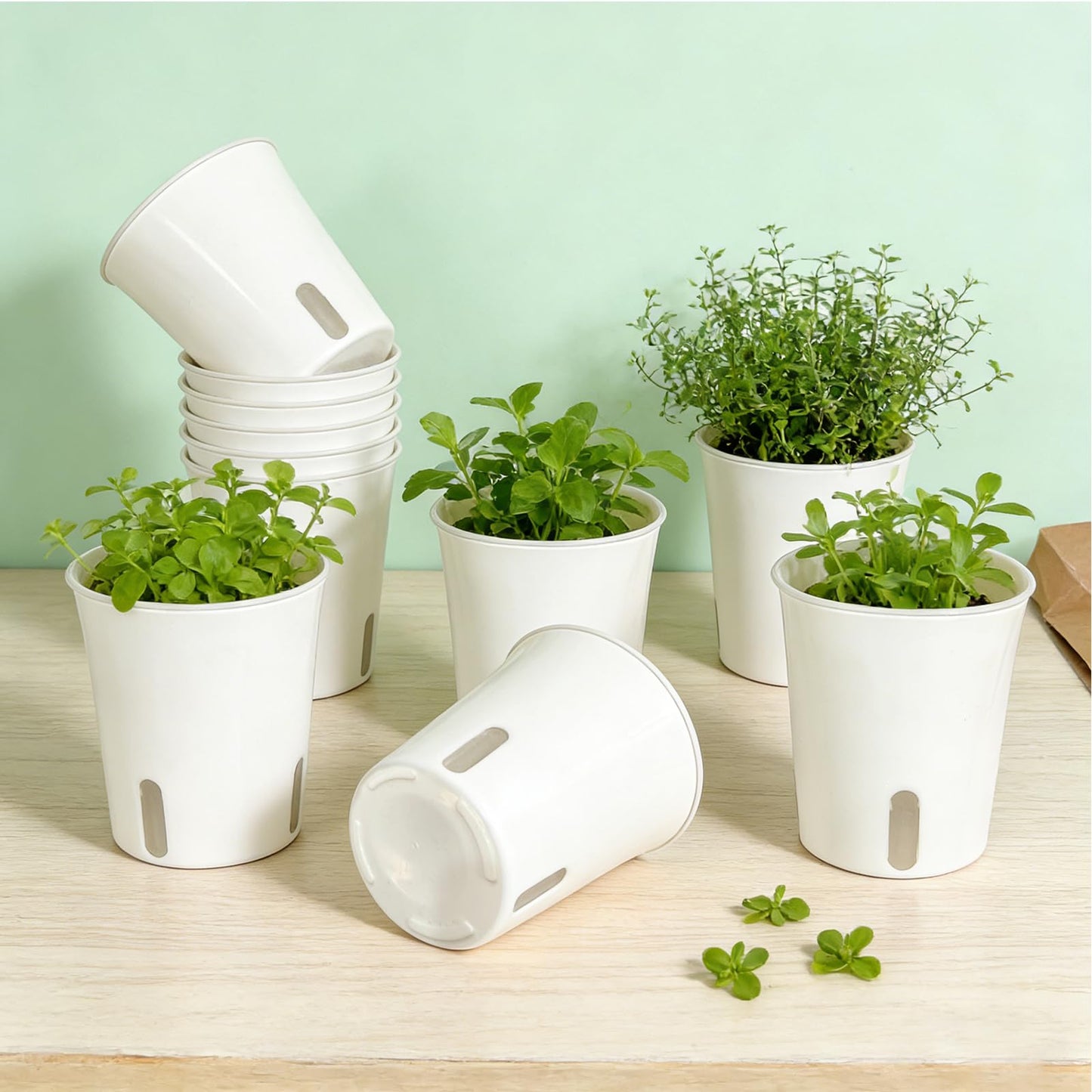 Canumer 35 Pcs 3-Inch Self Watering Pots for Indoor Plants, Plastic Planters with Water Level Indicator & Vent Holes, Ideal for Succulents, Herbs, and Flowers