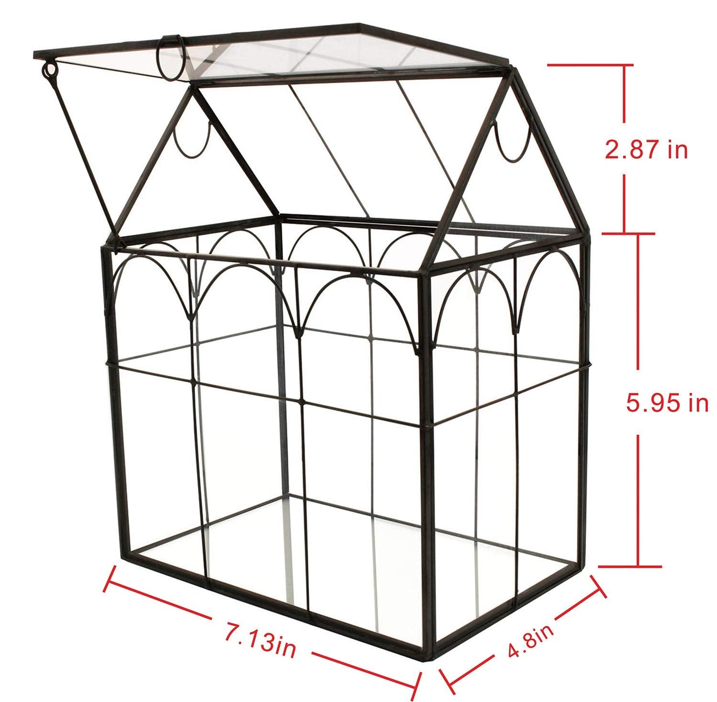 ELEGANTLIFE Glass Geometric Plant Terrarium,Succulent & Air Planter for Home Garden Office Decoration (Black House)