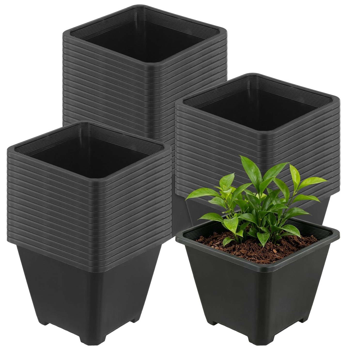 HAKZEON 50 PCS 5.5 Inch Square Nursery Pots, Black Plastic Plant Pot with Drainage Holes, Small Seed Starting Pots for Flower Planter Seedlings, Succulents