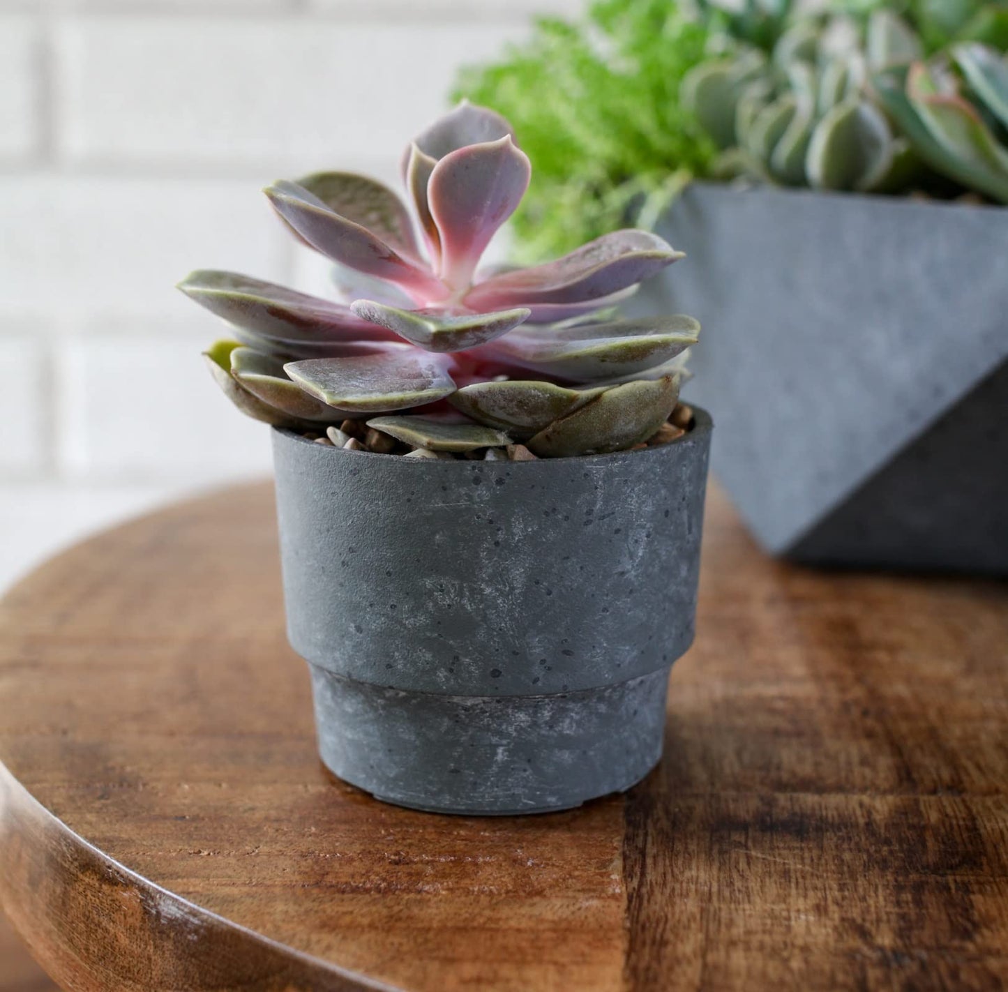 The HC Companies 7 Inch Sprite Succulent Pot 6.95"x6.95"x6.21Inch in Faux Concrete Color