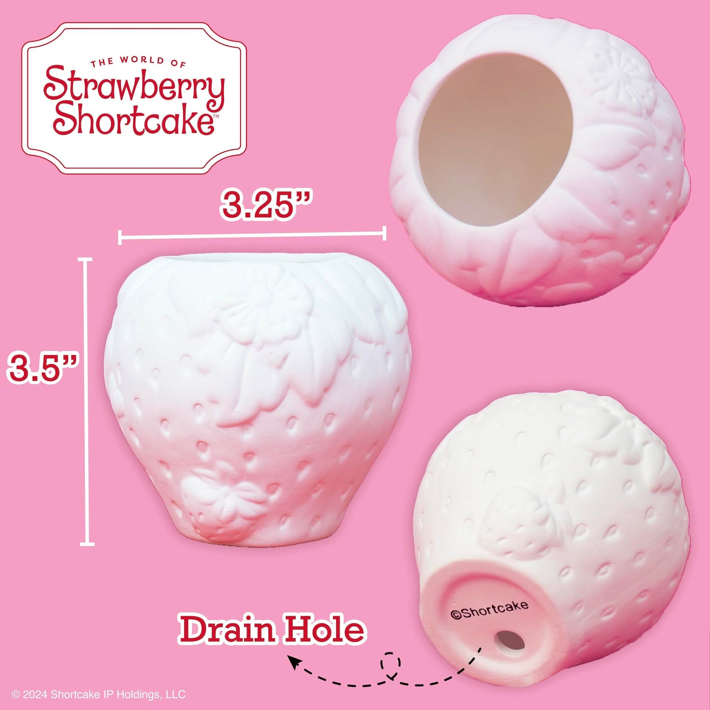 Horizon Group USA Paint Your Own Figurine Kit, DIY Art Project for Kids, Strawberry Shortcake Planter