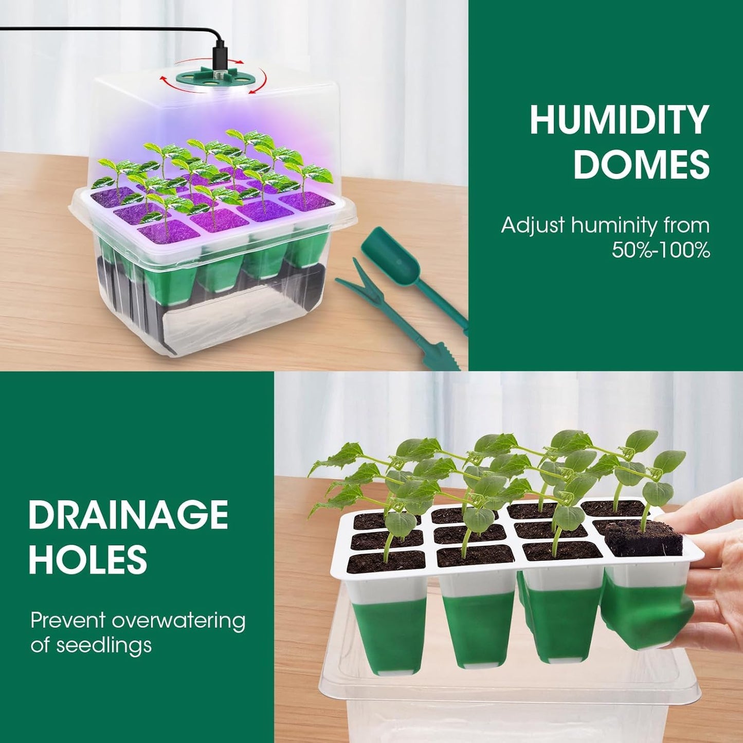 MYMULIKE Seed Starter Tray with Grow Light,5 Pack 60 Cells Seedling Tray Kit Reusable & Dishwasher Safe for Starting Vegetable, Flower & Herb Seeds Indoor Grow Kit for Deep-Rooted Seedlings